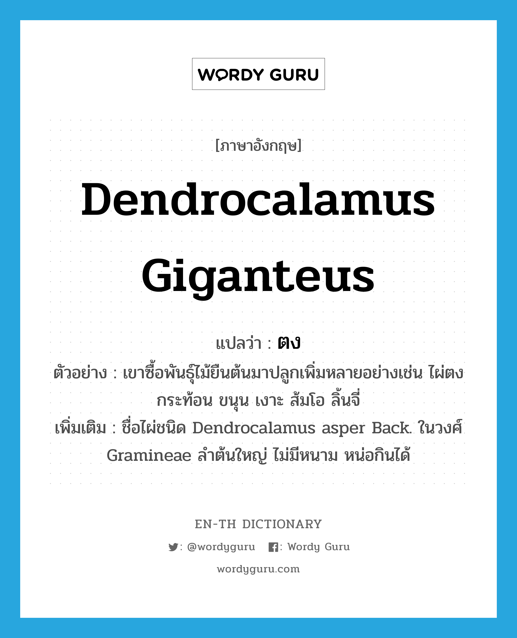 ตง ภาษาอังกฤษ?, คำศัพท์ภาษาอังกฤษ ตง แปลว่า Dendrocalamus giganteus ประเภท N ตัวอย่าง เขาซื้อพันธุ์ไม้ยืนต้นมาปลูกเพิ่มหลายอย่างเช่น ไผ่ตง กระท้อน ขนุน เงาะ ส้มโอ ลิ้นจี่ เพิ่มเติม ชื่อไผ่ชนิด Dendrocalamus asper Back. ในวงศ์ Gramineae ลำต้นใหญ่ ไม่มีหนาม หน่อกินได้ หมวด N