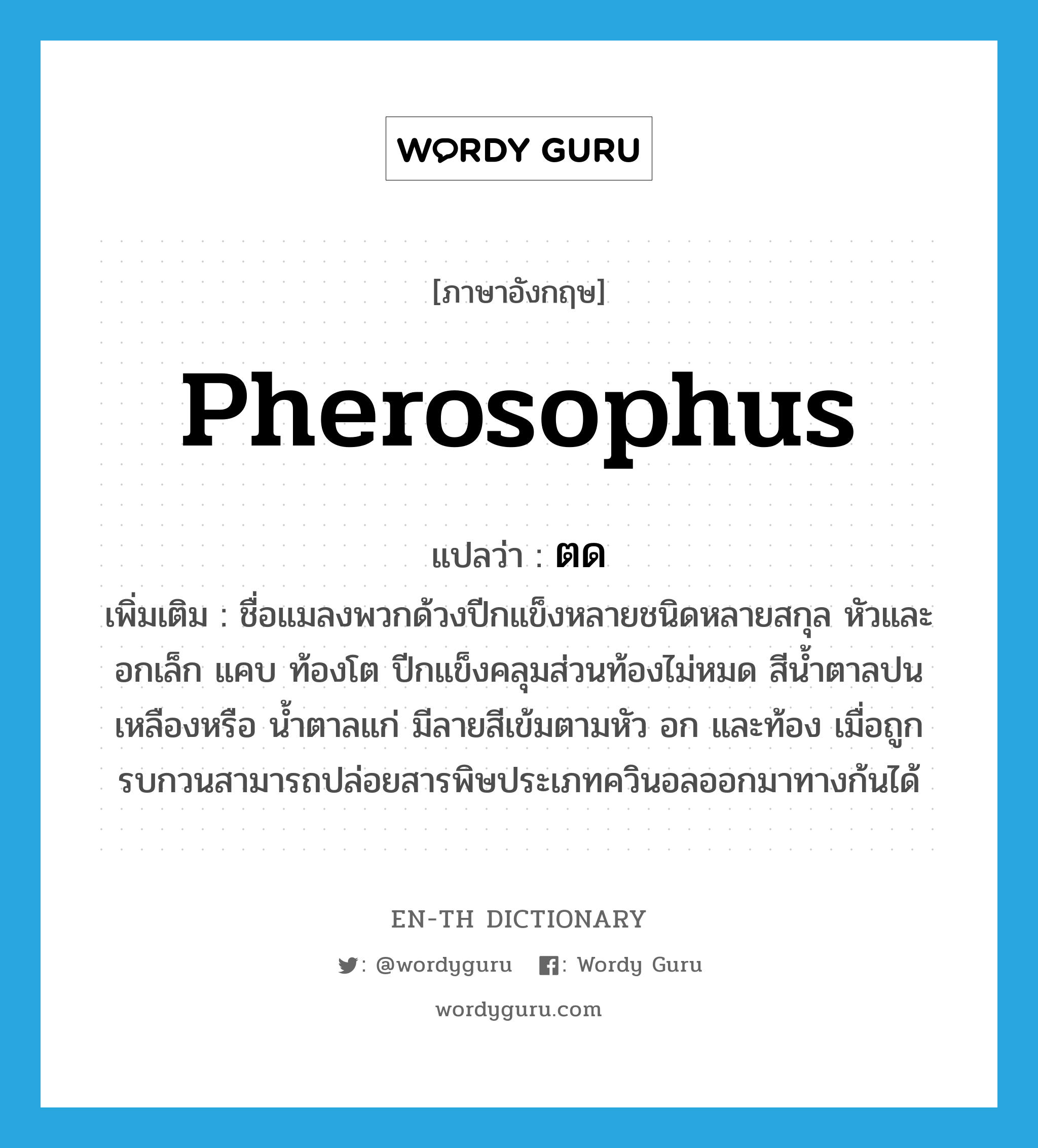 Pherosophus แปลว่า?, คำศัพท์ภาษาอังกฤษ Pherosophus แปลว่า ตด ประเภท N เพิ่มเติม ชื่อแมลงพวกด้วงปีกแข็งหลายชนิดหลายสกุล หัวและอกเล็ก แคบ ท้องโต ปีกแข็งคลุมส่วนท้องไม่หมด สีน้ำตาลปนเหลืองหรือ น้ำตาลแก่ มีลายสีเข้มตามหัว อก และท้อง เมื่อถูกรบกวนสามารถปล่อยสารพิษประเภทควินอลออกมาทางก้นได้ หมวด N