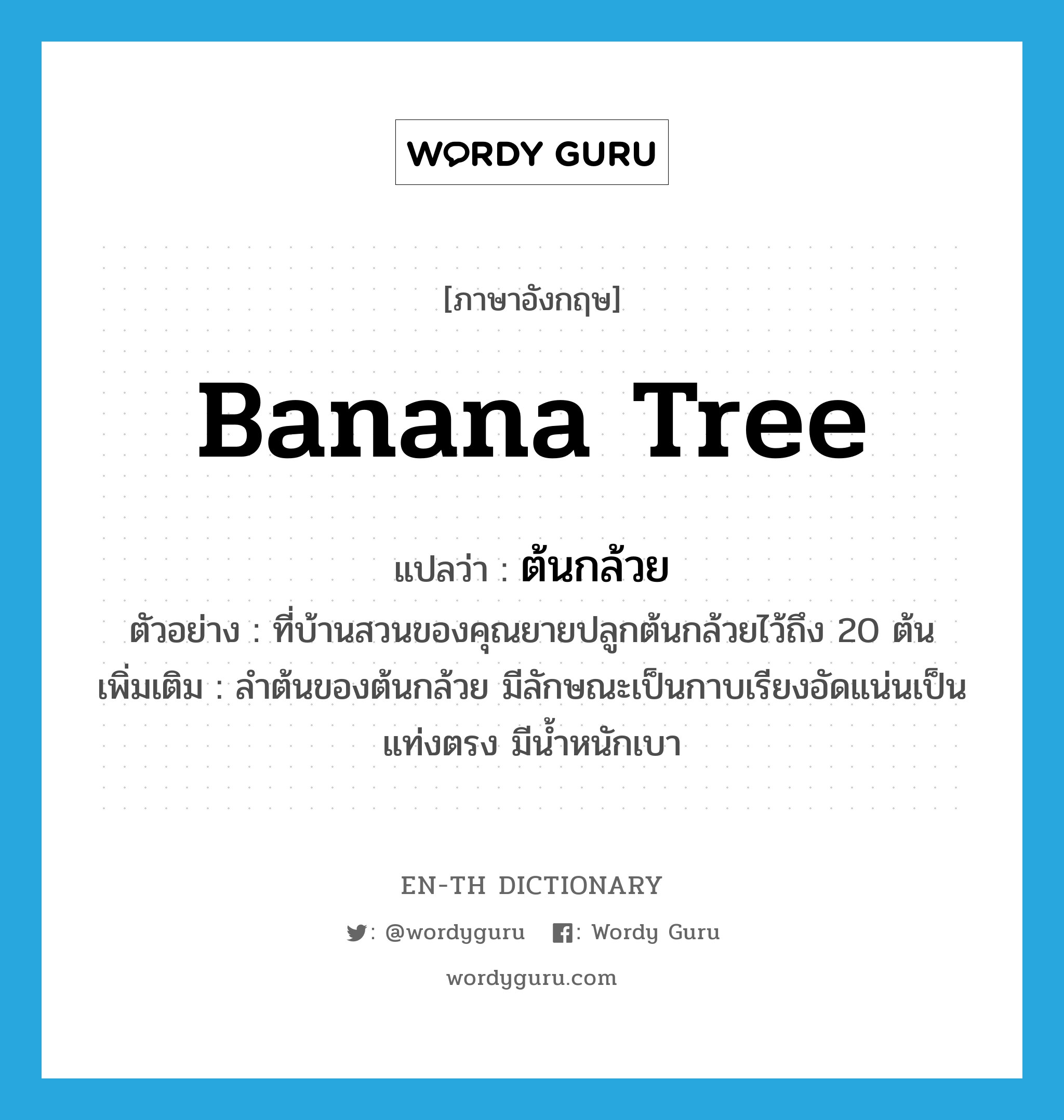 banana tree แปลว่า?, คำศัพท์ภาษาอังกฤษ banana tree แปลว่า ต้นกล้วย ประเภท N ตัวอย่าง ที่บ้านสวนของคุณยายปลูกต้นกล้วยไว้ถึง 20 ต้น เพิ่มเติม ลำต้นของต้นกล้วย มีลักษณะเป็นกาบเรียงอัดแน่นเป็นแท่งตรง มีน้ำหนักเบา หมวด N