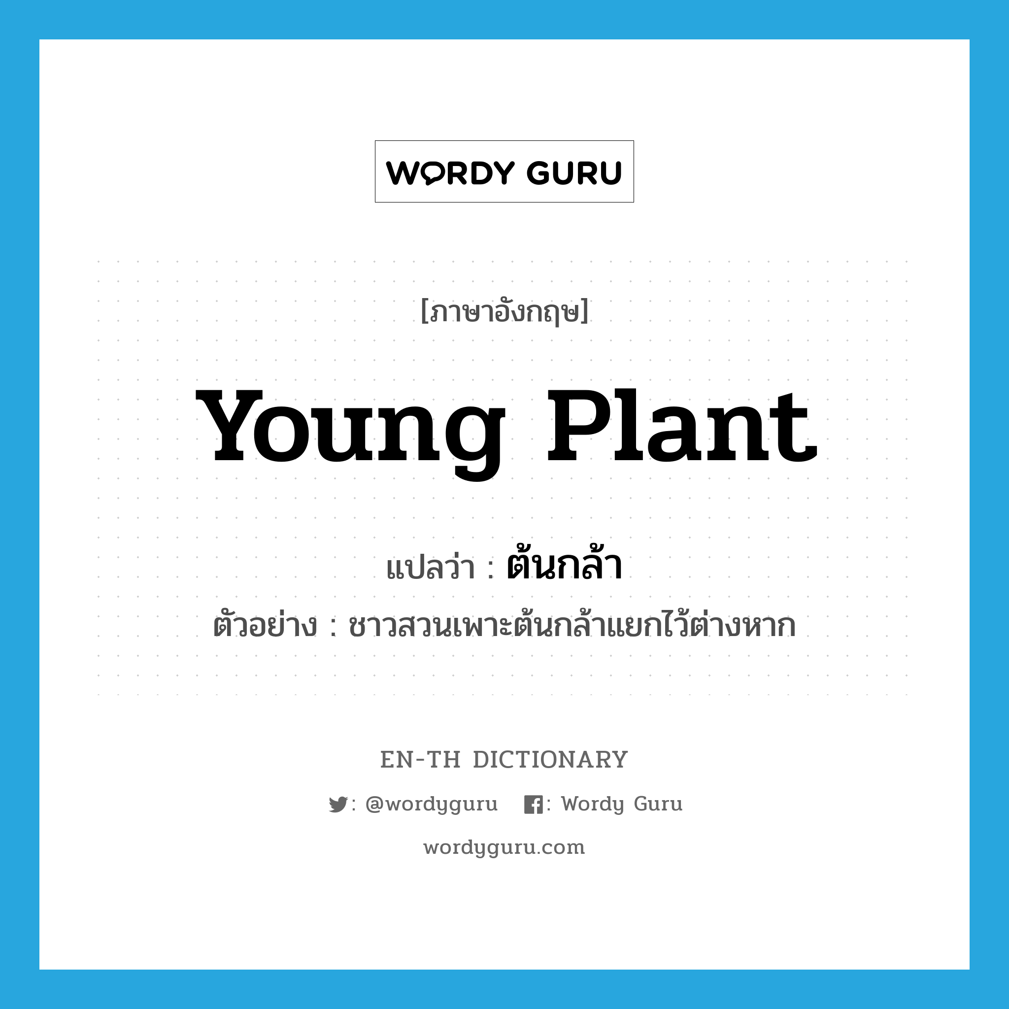 young plant แปลว่า?, คำศัพท์ภาษาอังกฤษ young plant แปลว่า ต้นกล้า ประเภท N ตัวอย่าง ชาวสวนเพาะต้นกล้าแยกไว้ต่างหาก หมวด N