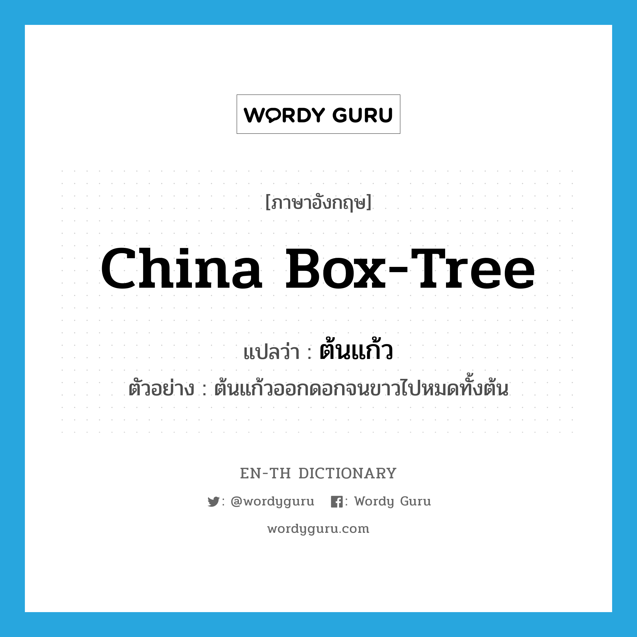 China box-tree แปลว่า?, คำศัพท์ภาษาอังกฤษ China box-tree แปลว่า ต้นแก้ว ประเภท N ตัวอย่าง ต้นแก้วออกดอกจนขาวไปหมดทั้งต้น หมวด N