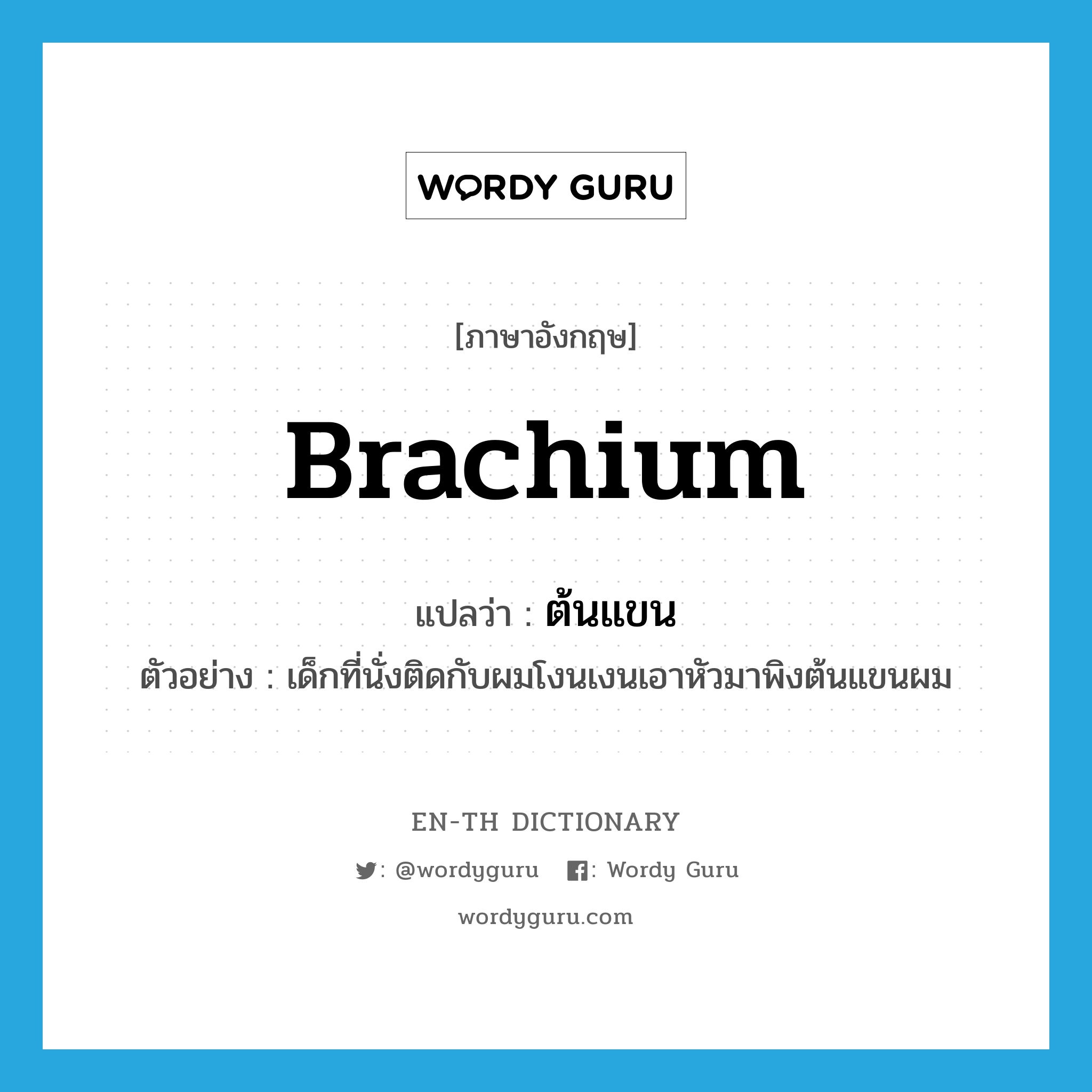 brachium แปลว่า?, คำศัพท์ภาษาอังกฤษ brachium แปลว่า ต้นแขน ประเภท N ตัวอย่าง เด็กที่นั่งติดกับผมโงนเงนเอาหัวมาพิงต้นแขนผม หมวด N