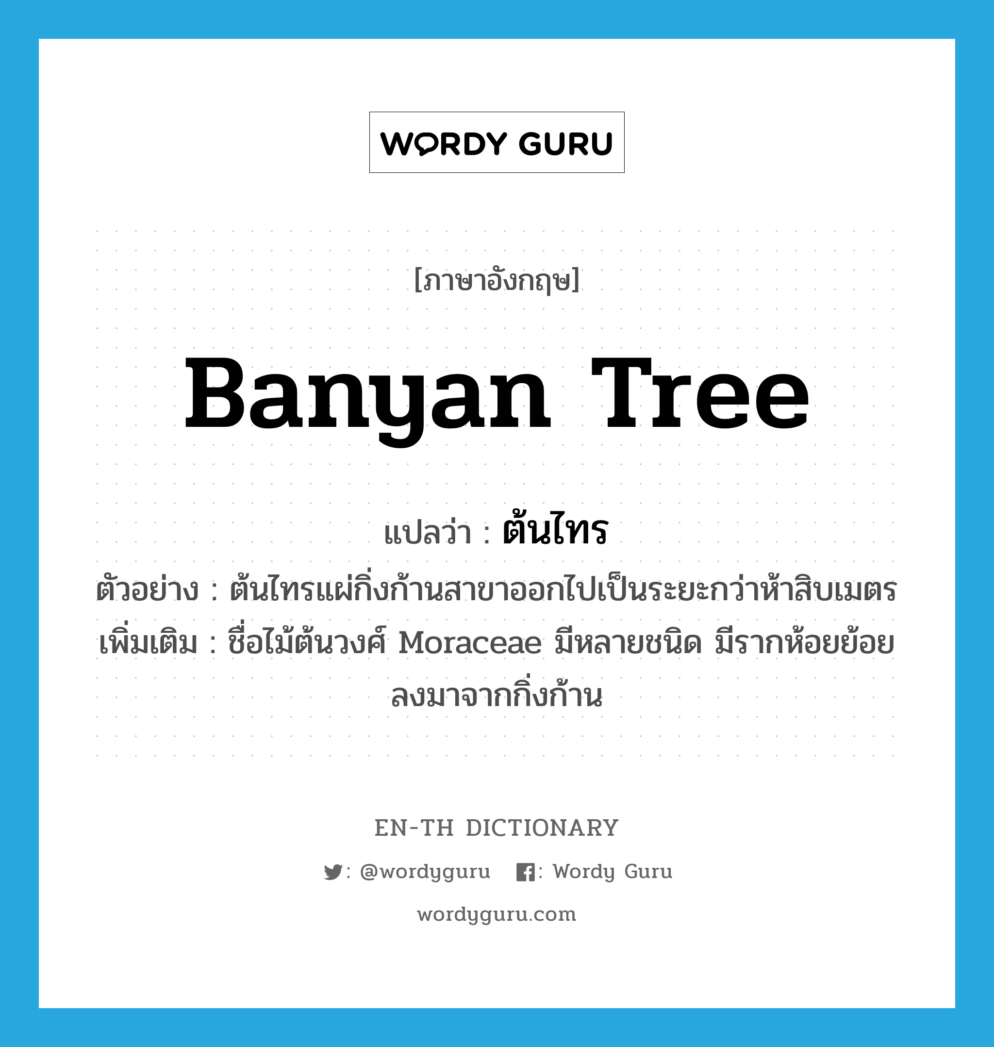 banyan tree แปลว่า?, คำศัพท์ภาษาอังกฤษ banyan tree แปลว่า ต้นไทร ประเภท N ตัวอย่าง ต้นไทรแผ่กิ่งก้านสาขาออกไปเป็นระยะกว่าห้าสิบเมตร เพิ่มเติม ชื่อไม้ต้นวงศ์ Moraceae มีหลายชนิด มีรากห้อยย้อยลงมาจากกิ่งก้าน หมวด N