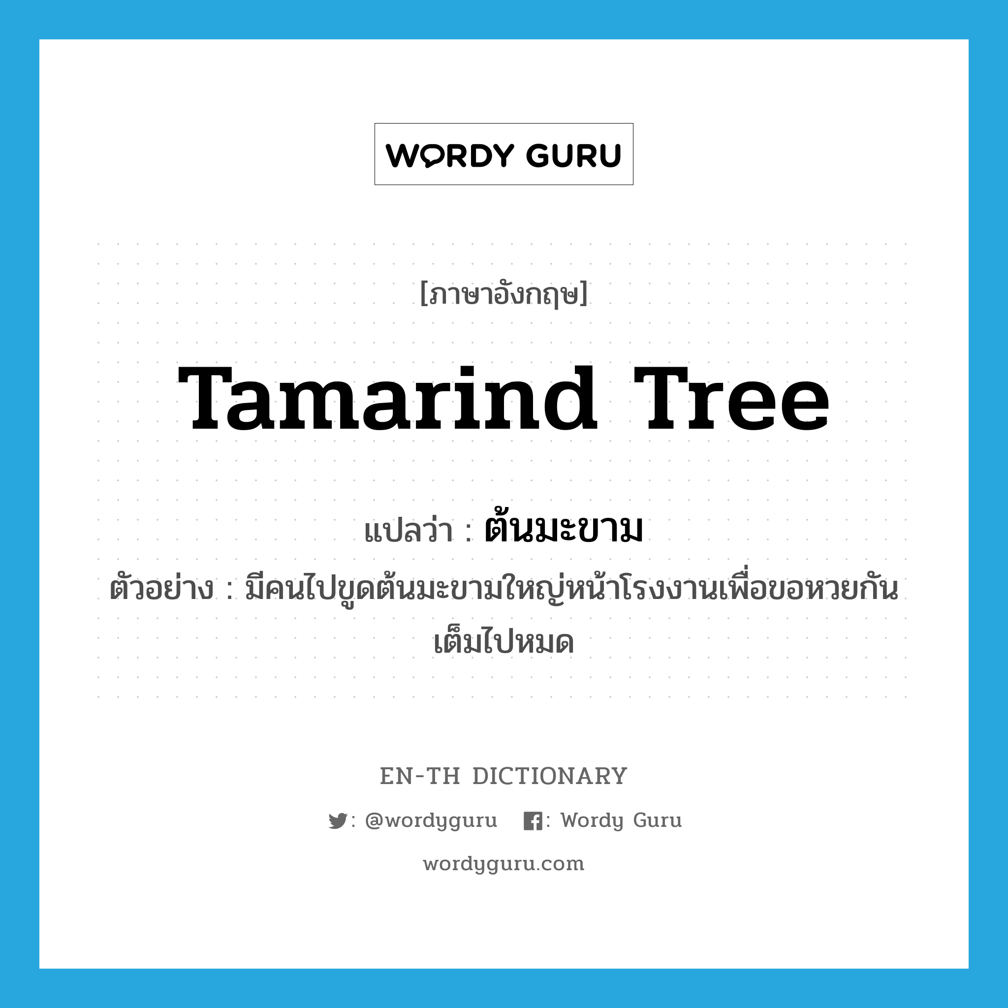 tamarind tree แปลว่า?, คำศัพท์ภาษาอังกฤษ tamarind tree แปลว่า ต้นมะขาม ประเภท N ตัวอย่าง มีคนไปขูดต้นมะขามใหญ่หน้าโรงงานเพื่อขอหวยกันเต็มไปหมด หมวด N