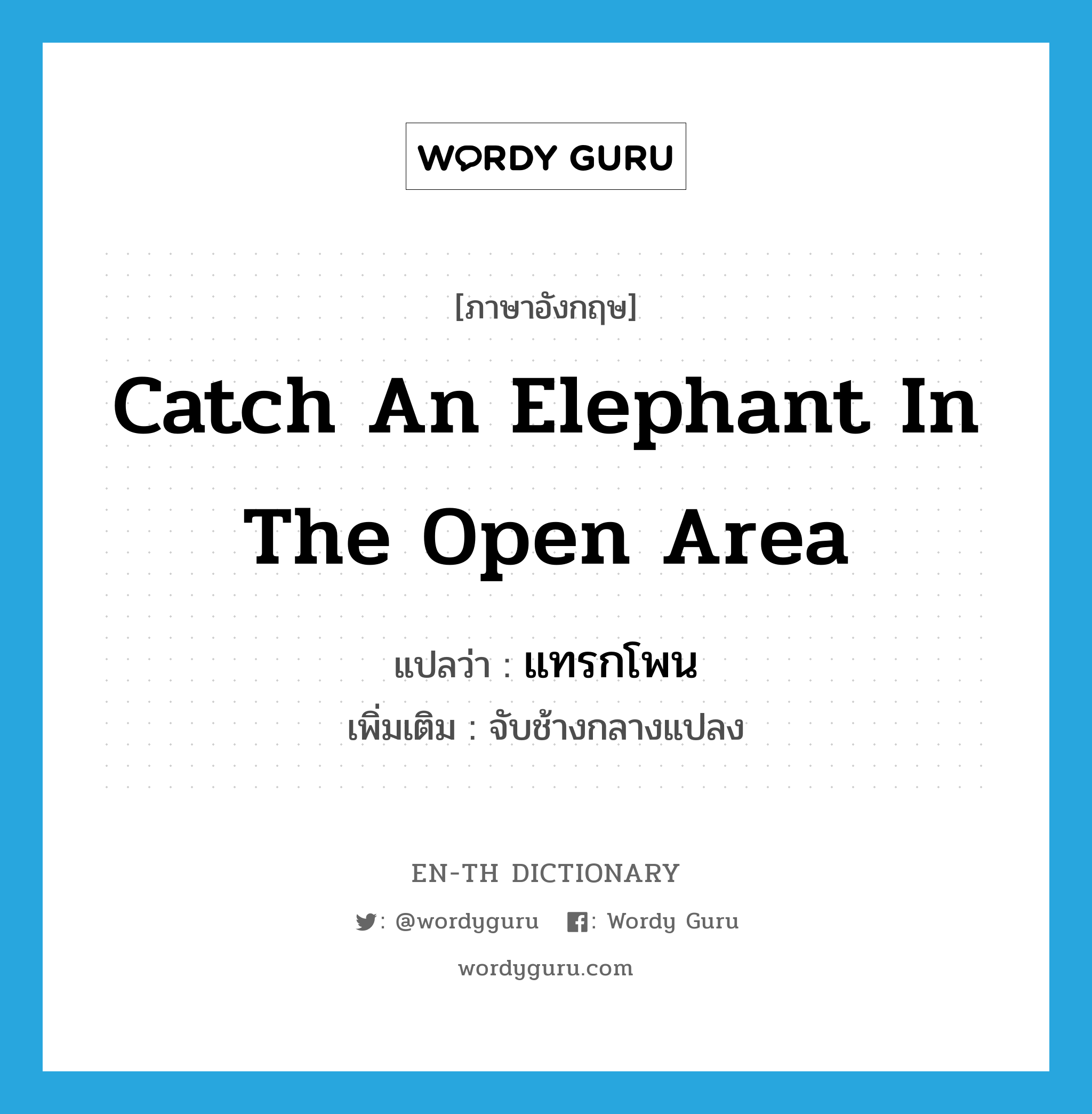 catch an elephant in the open area แปลว่า?, คำศัพท์ภาษาอังกฤษ catch an elephant in the open area แปลว่า แทรกโพน ประเภท V เพิ่มเติม จับช้างกลางแปลง หมวด V