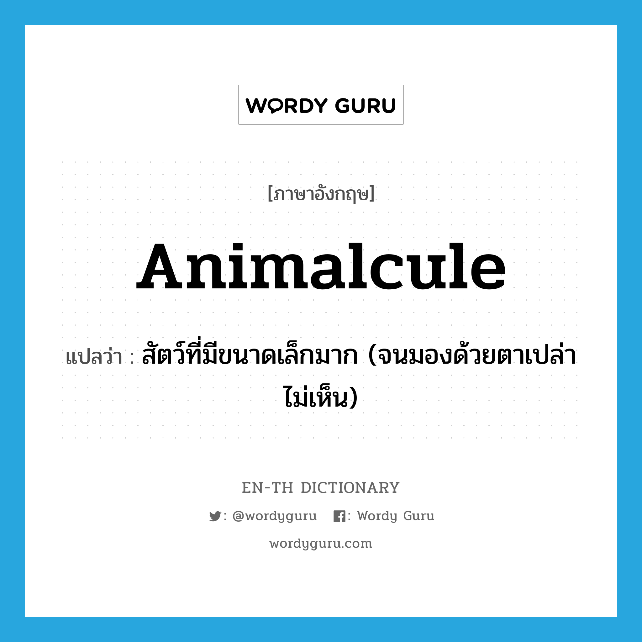 animalcule แปลว่า?, คำศัพท์ภาษาอังกฤษ animalcule แปลว่า สัตว์ที่มีขนาดเล็กมาก (จนมองด้วยตาเปล่าไม่เห็น) ประเภท N หมวด N