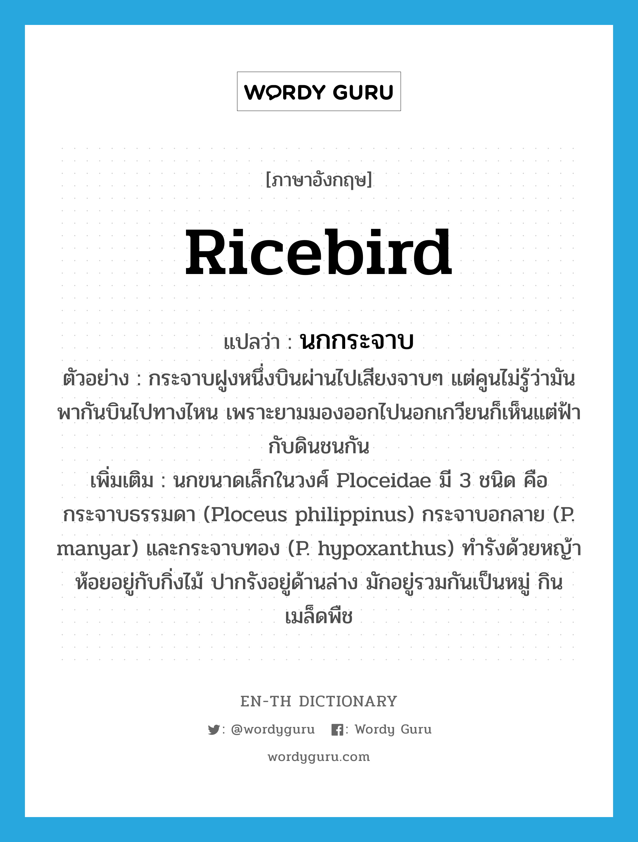 ricebird แปลว่า?, คำศัพท์ภาษาอังกฤษ ricebird แปลว่า นกกระจาบ ประเภท N ตัวอย่าง กระจาบฝูงหนึ่งบินผ่านไปเสียงจาบๆ แต่คูนไม่รู้ว่ามันพากันบินไปทางไหน เพราะยามมองออกไปนอกเกวียนก็เห็นแต่ฟ้ากับดินชนกัน เพิ่มเติม นกขนาดเล็กในวงศ์ Ploceidae มี 3 ชนิด คือ กระจาบธรรมดา (Ploceus philippinus) กระจาบอกลาย (P. manyar) และกระจาบทอง (P. hypoxanthus) ทำรังด้วยหญ้า ห้อยอยู่กับกิ่งไม้ ปากรังอยู่ด้านล่าง มักอยู่รวมกันเป็นหมู่ กินเมล็ดพืช หมวด N