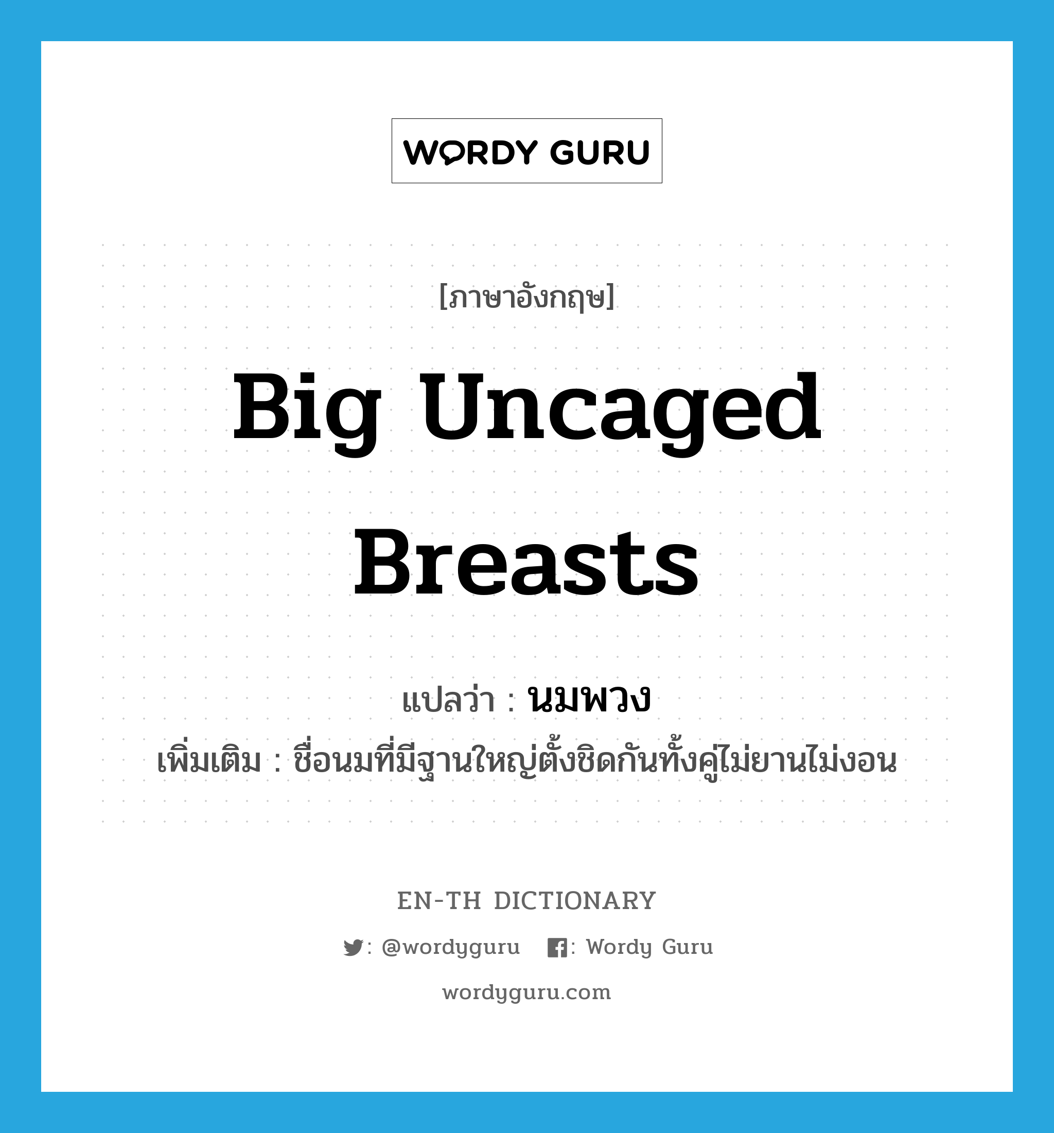 big uncaged breasts แปลว่า?, คำศัพท์ภาษาอังกฤษ big uncaged breasts แปลว่า นมพวง ประเภท N เพิ่มเติม ชื่อนมที่มีฐานใหญ่ตั้งชิดกันทั้งคู่ไม่ยานไม่งอน หมวด N