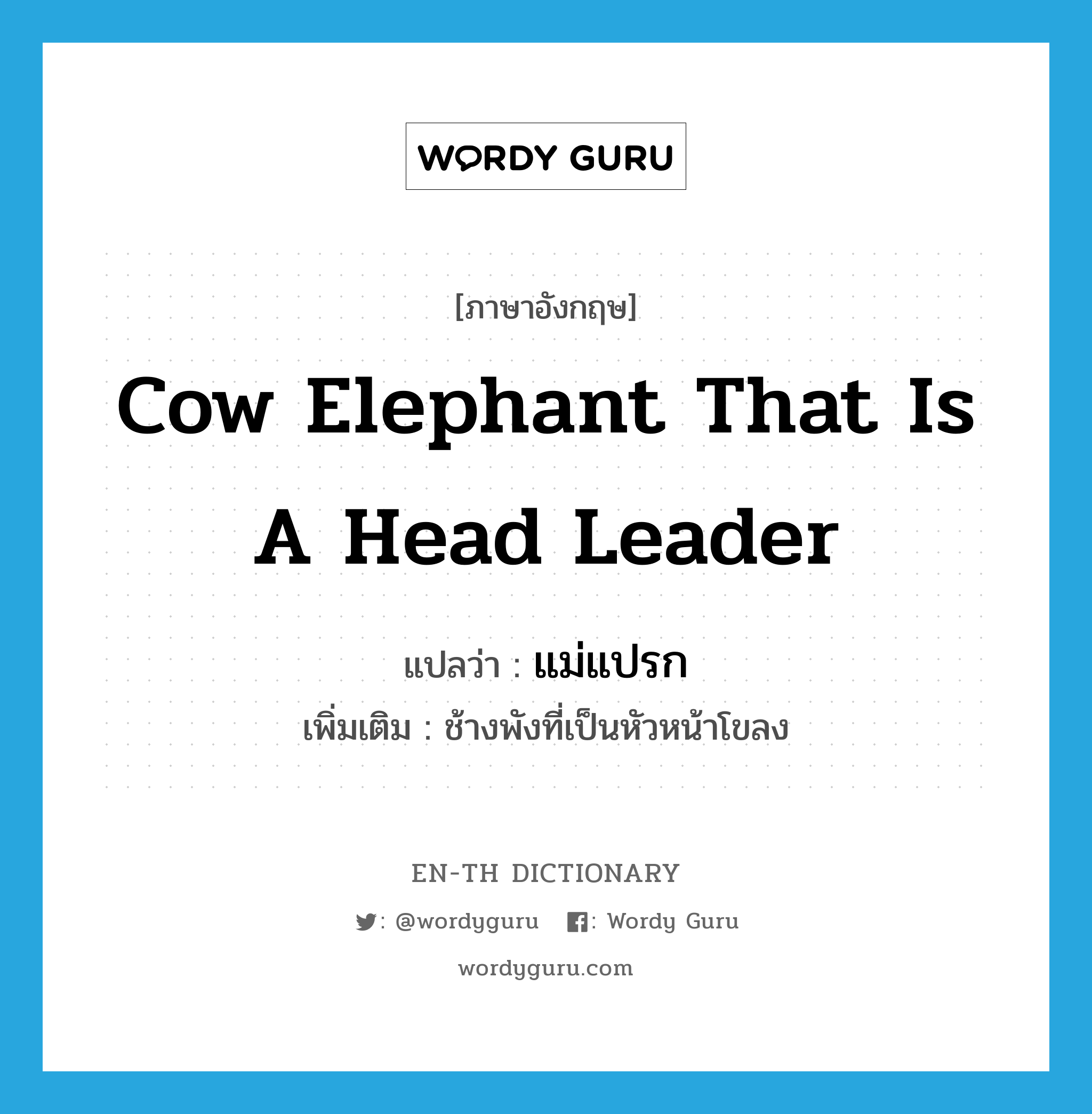 cow elephant that is a head leader แปลว่า?, คำศัพท์ภาษาอังกฤษ cow elephant that is a head leader แปลว่า แม่แปรก ประเภท N เพิ่มเติม ช้างพังที่เป็นหัวหน้าโขลง หมวด N