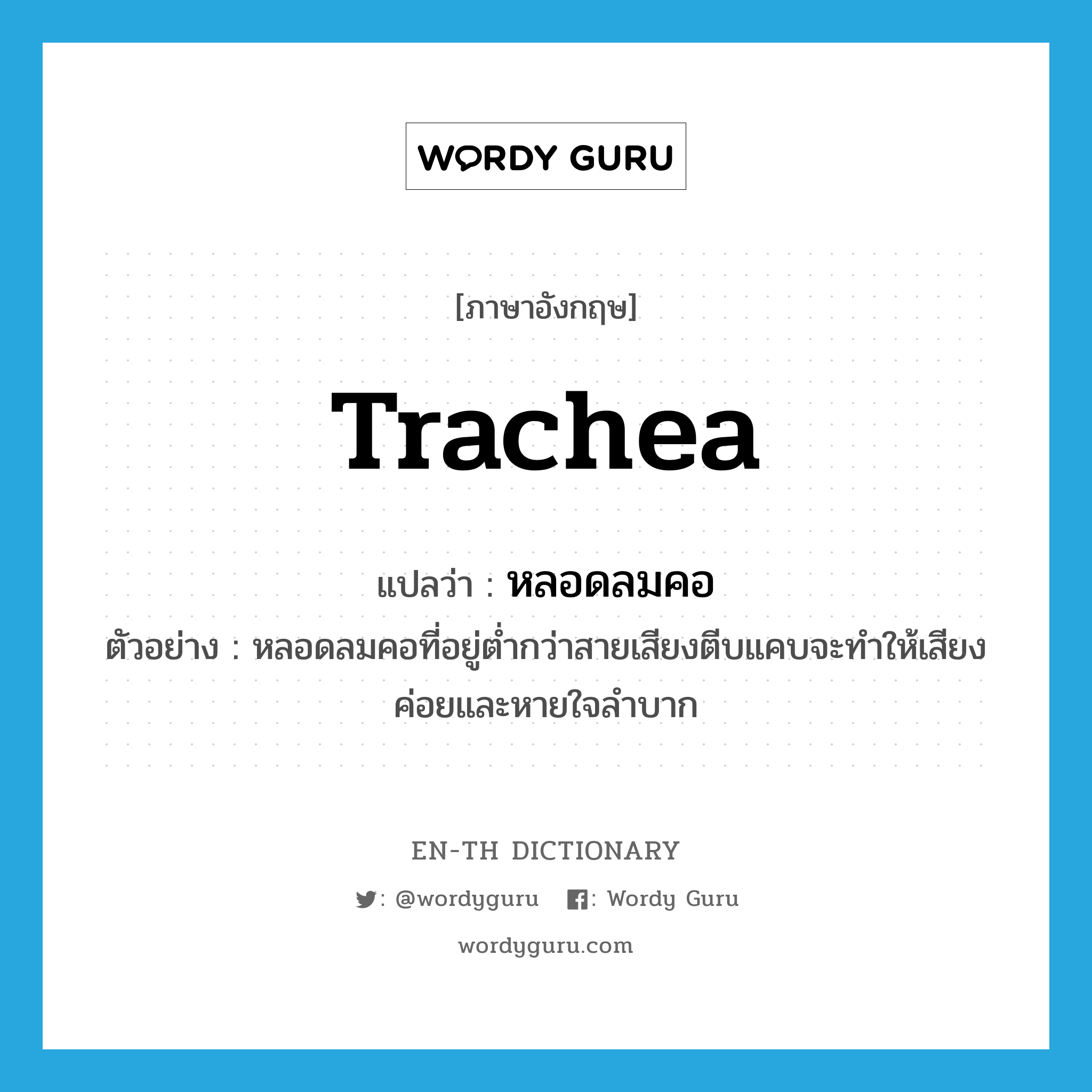 trachea แปลว่า?, คำศัพท์ภาษาอังกฤษ trachea แปลว่า หลอดลมคอ ประเภท N ตัวอย่าง หลอดลมคอที่อยู่ต่ำกว่าสายเสียงตีบแคบจะทำให้เสียงค่อยและหายใจลำบาก หมวด N