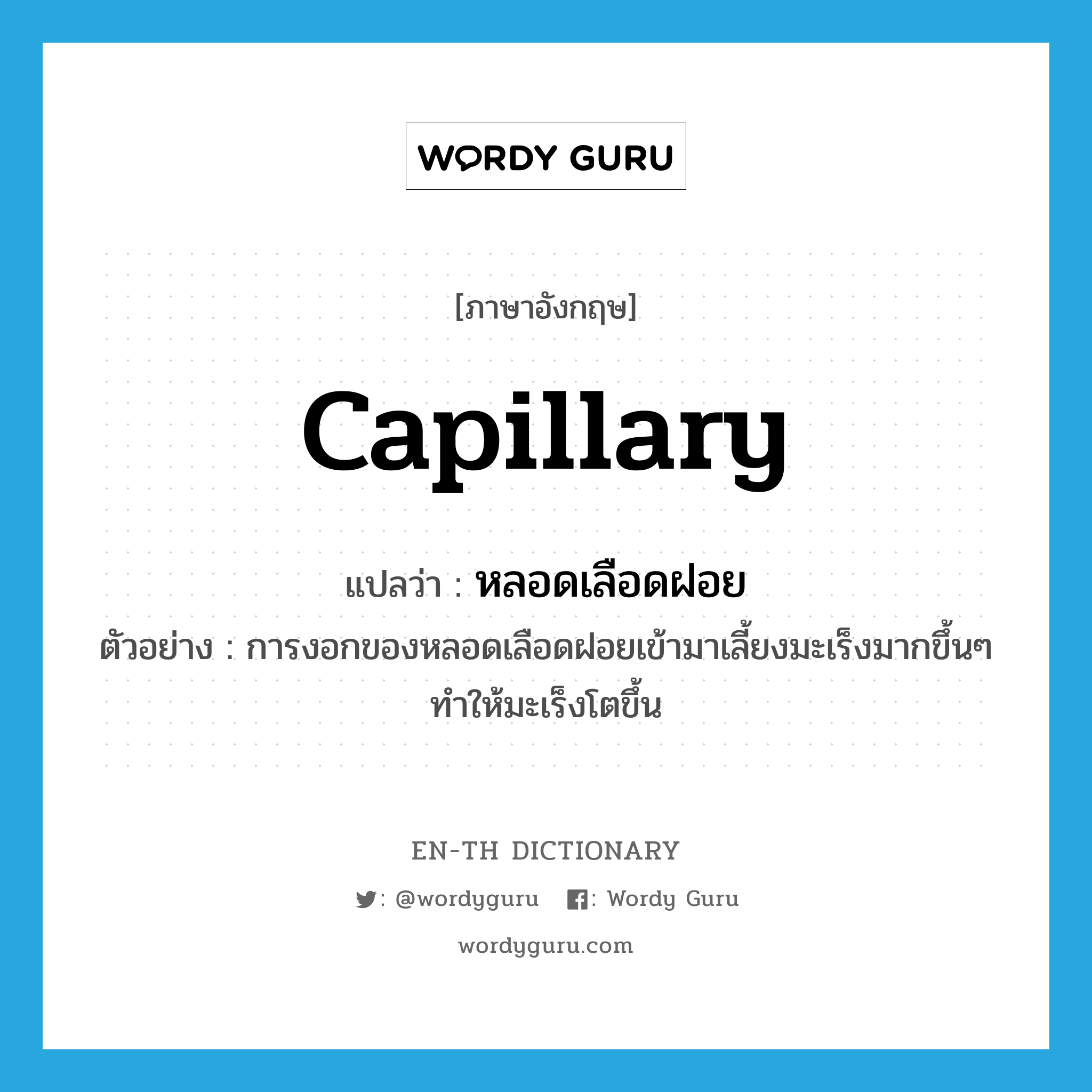 capillary แปลว่า?, คำศัพท์ภาษาอังกฤษ capillary แปลว่า หลอดเลือดฝอย ประเภท N ตัวอย่าง การงอกของหลอดเลือดฝอยเข้ามาเลี้ยงมะเร็งมากขึ้นๆ ทำให้มะเร็งโตขึ้น หมวด N