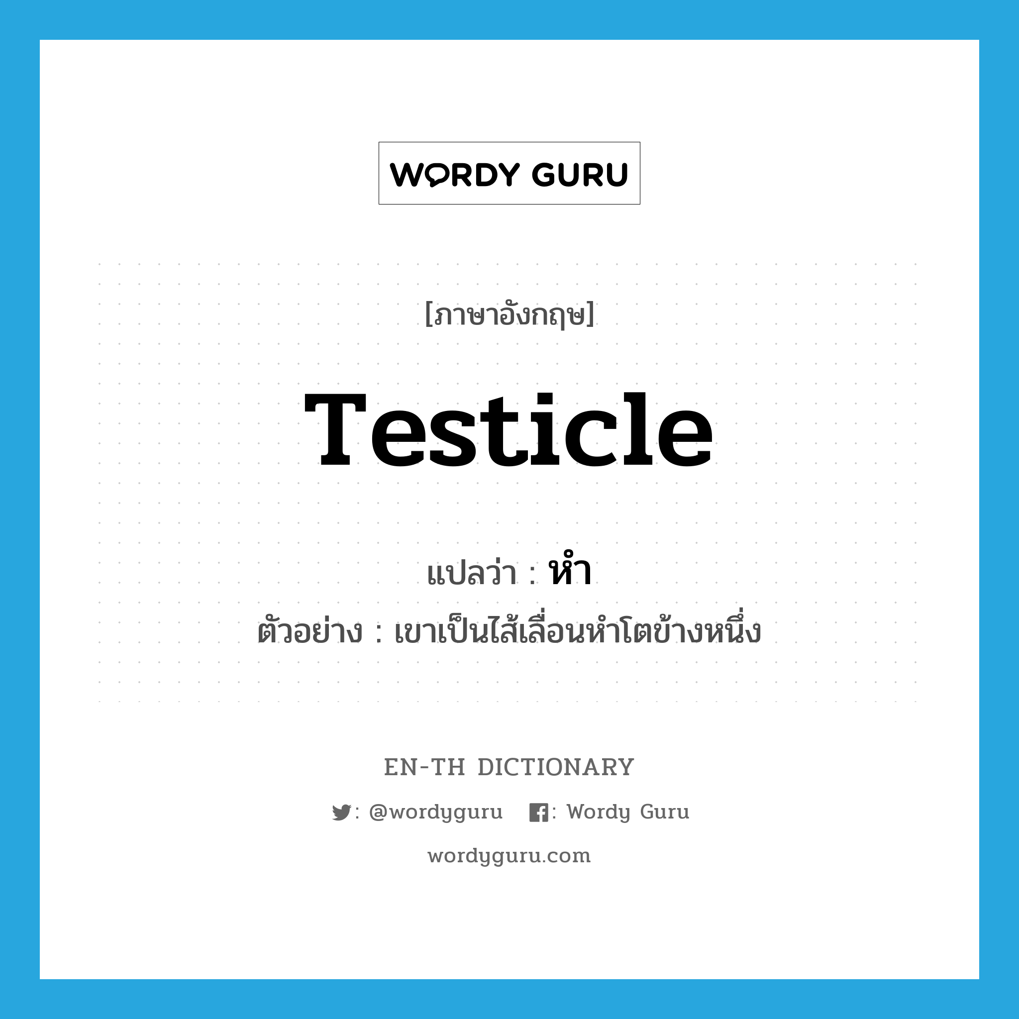 testicle แปลว่า?, คำศัพท์ภาษาอังกฤษ testicle แปลว่า หำ ประเภท N ตัวอย่าง เขาเป็นไส้เลื่อนหำโตข้างหนึ่ง หมวด N