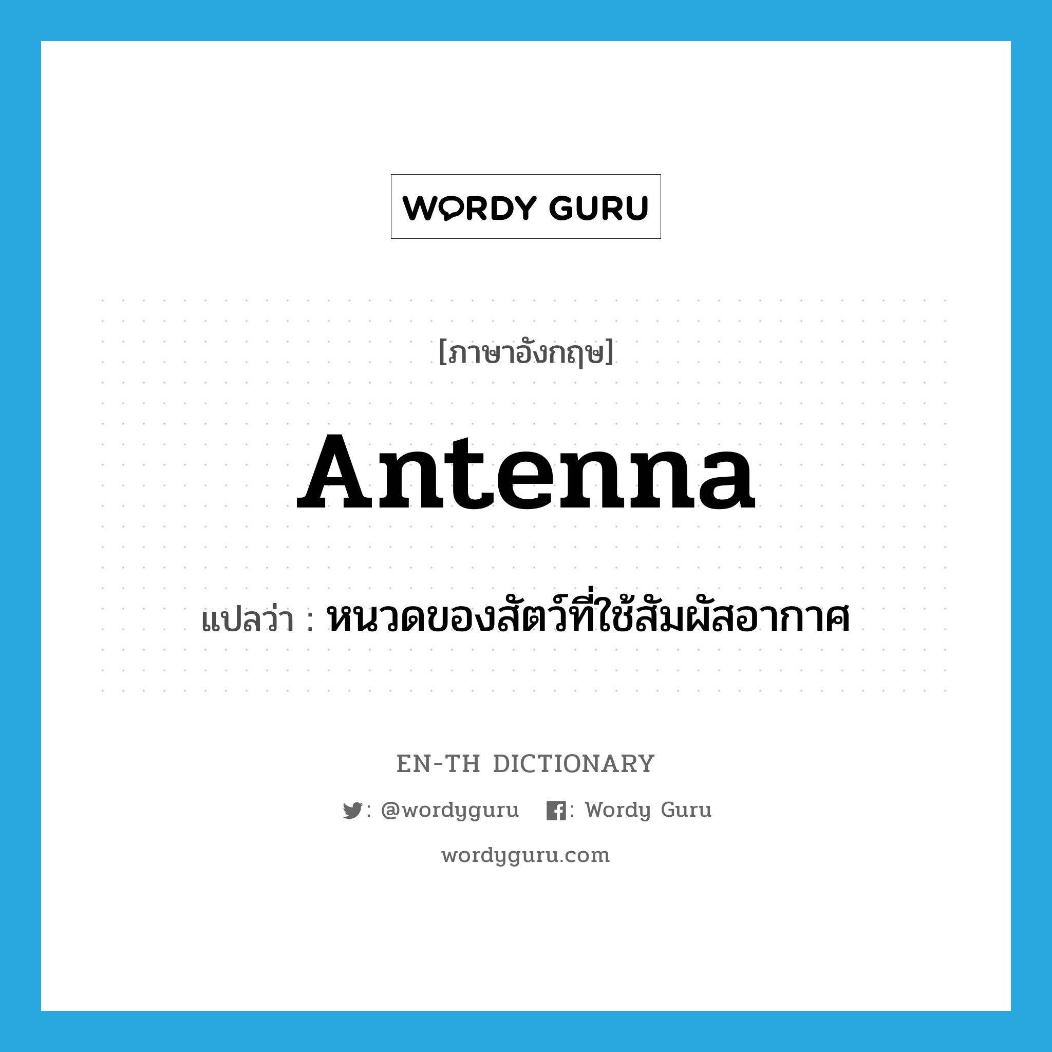 antenna แปลว่า?, คำศัพท์ภาษาอังกฤษ antenna แปลว่า หนวดของสัตว์ที่ใช้สัมผัสอากาศ ประเภท N หมวด N