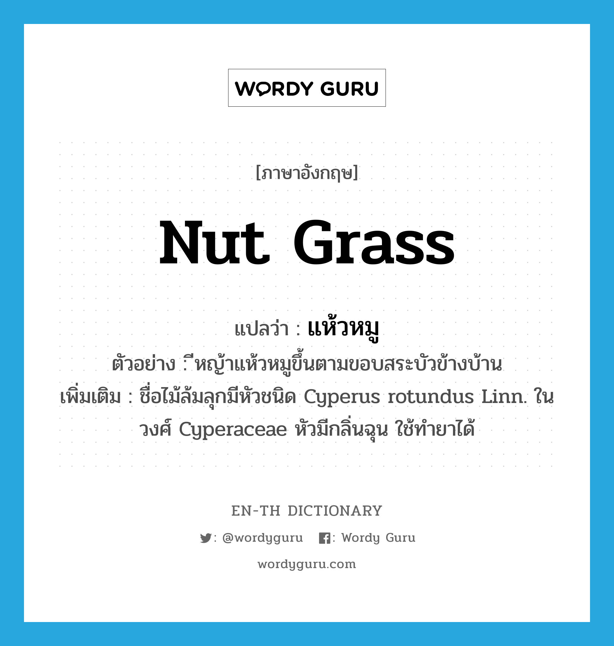 nut grass แปลว่า?, คำศัพท์ภาษาอังกฤษ nut grass แปลว่า แห้วหมู ประเภท N ตัวอย่าง ีหญ้าแห้วหมูขึ้นตามขอบสระบัวข้างบ้าน เพิ่มเติม ชื่อไม้ล้มลุกมีหัวชนิด Cyperus rotundus Linn. ในวงศ์ Cyperaceae หัวมีกลิ่นฉุน ใช้ทำยาได้ หมวด N