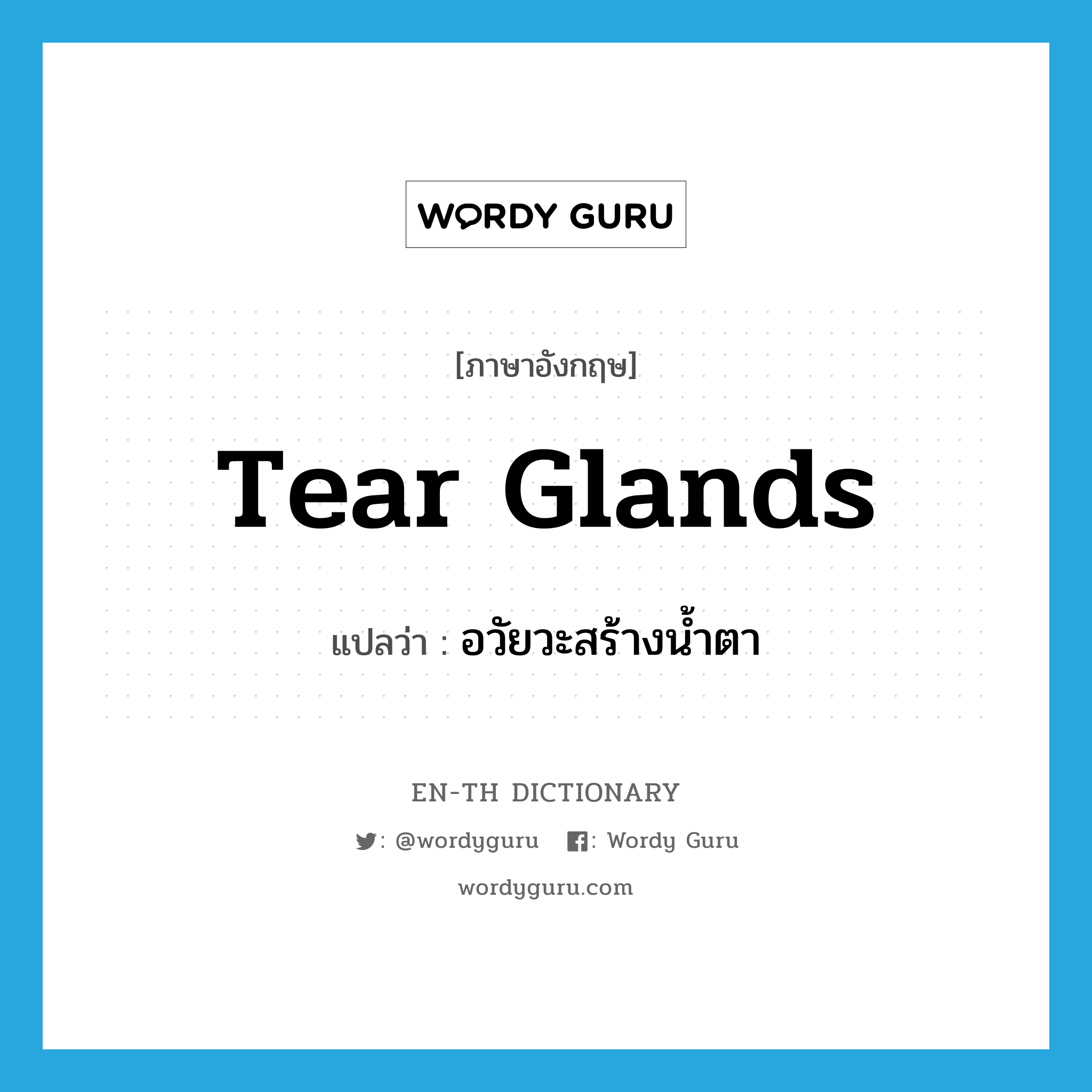 tear glands แปลว่า?, คำศัพท์ภาษาอังกฤษ tear glands แปลว่า อวัยวะสร้างน้ำตา ประเภท N หมวด N