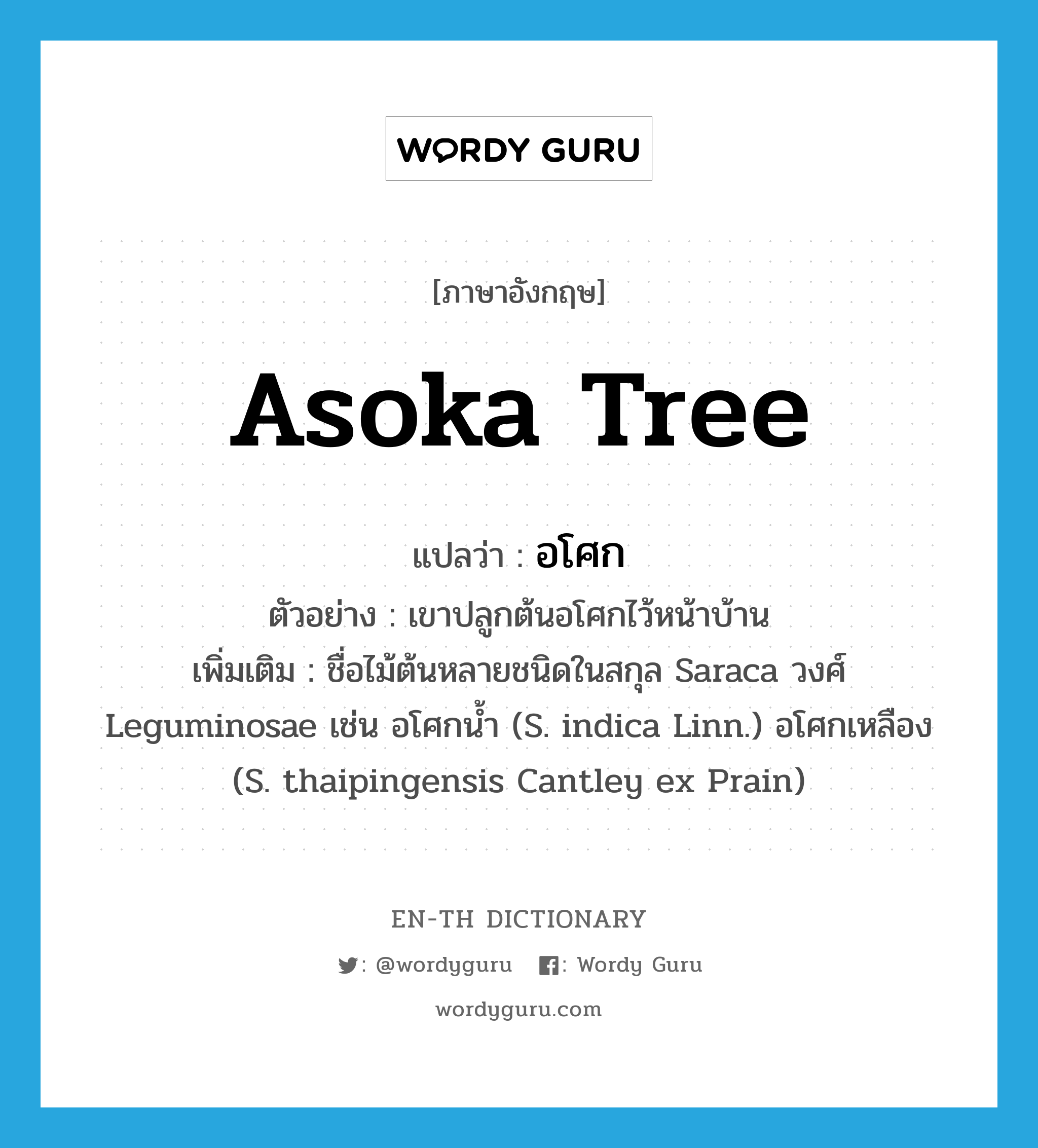 Asoka tree แปลว่า?, คำศัพท์ภาษาอังกฤษ Asoka tree แปลว่า อโศก ประเภท N ตัวอย่าง เขาปลูกต้นอโศกไว้หน้าบ้าน เพิ่มเติม ชื่อไม้ต้นหลายชนิดในสกุล Saraca วงศ์ Leguminosae เช่น อโศกน้ำ (S. indica Linn.) อโศกเหลือง (S. thaipingensis Cantley ex Prain) หมวด N