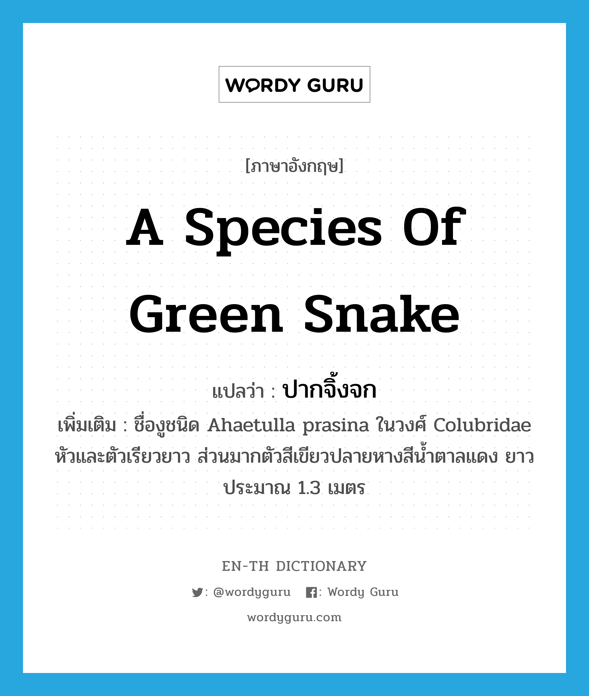 a species of green snake แปลว่า?, คำศัพท์ภาษาอังกฤษ a species of green snake แปลว่า ปากจิ้งจก ประเภท N เพิ่มเติม ชื่องูชนิด Ahaetulla prasina ในวงศ์ Colubridae หัวและตัวเรียวยาว ส่วนมากตัวสีเขียวปลายหางสีน้ำตาลแดง ยาวประมาณ 1.3 เมตร หมวด N