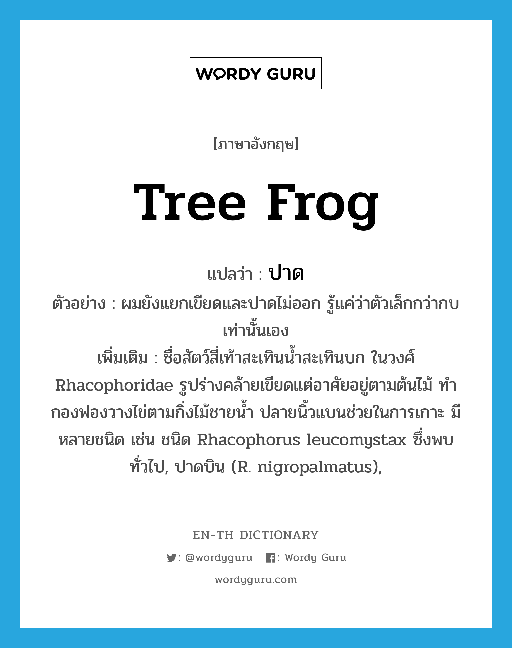 tree frog แปลว่า?, คำศัพท์ภาษาอังกฤษ tree frog แปลว่า ปาด ประเภท N ตัวอย่าง ผมยังแยกเขียดและปาดไม่ออก รู้แค่ว่าตัวเล็กกว่ากบเท่านั้นเอง เพิ่มเติม ชื่อสัตว์สี่เท้าสะเทินน้ำสะเทินบก ในวงศ์ Rhacophoridae รูปร่างคล้ายเขียดแต่อาศัยอยู่ตามต้นไม้ ทำกองฟองวางไข่ตามกิ่งไม้ชายน้ำ ปลายนิ้วแบนช่วยในการเกาะ มีหลายชนิด เช่น ชนิด Rhacophorus leucomystax ซึ่งพบทั่วไป, ปาดบิน (R. nigropalmatus), หมวด N