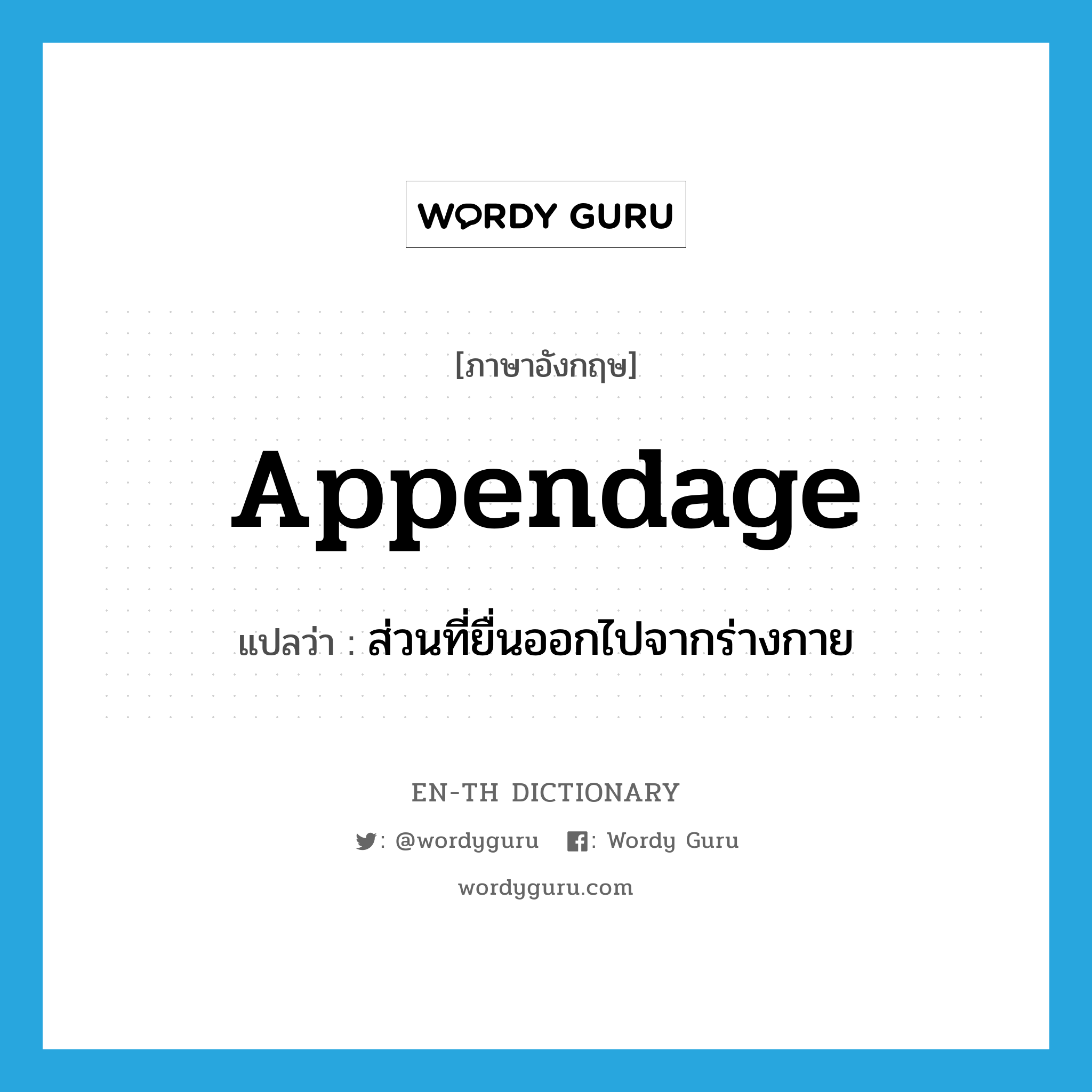 appendage แปลว่า?, คำศัพท์ภาษาอังกฤษ appendage แปลว่า ส่วนที่ยื่นออกไปจากร่างกาย ประเภท N หมวด N