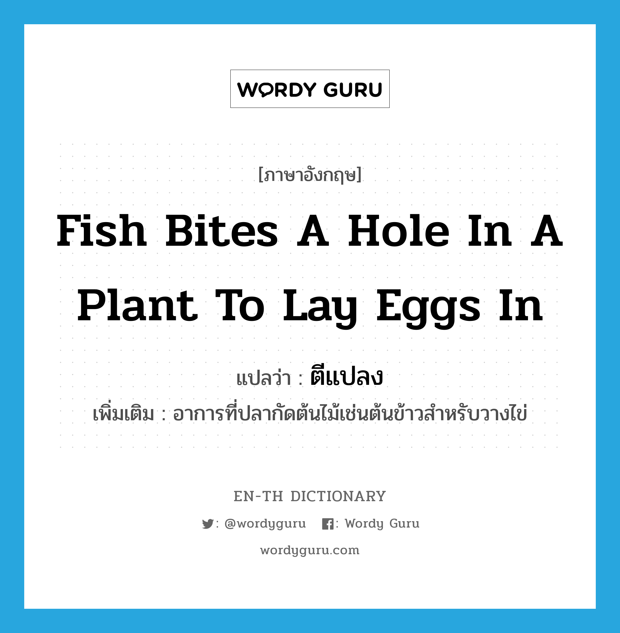 fish bites a hole in a plant to lay eggs in แปลว่า?, คำศัพท์ภาษาอังกฤษ fish bites a hole in a plant to lay eggs in แปลว่า ตีแปลง ประเภท V เพิ่มเติม อาการที่ปลากัดต้นไม้เช่นต้นข้าวสำหรับวางไข่ หมวด V