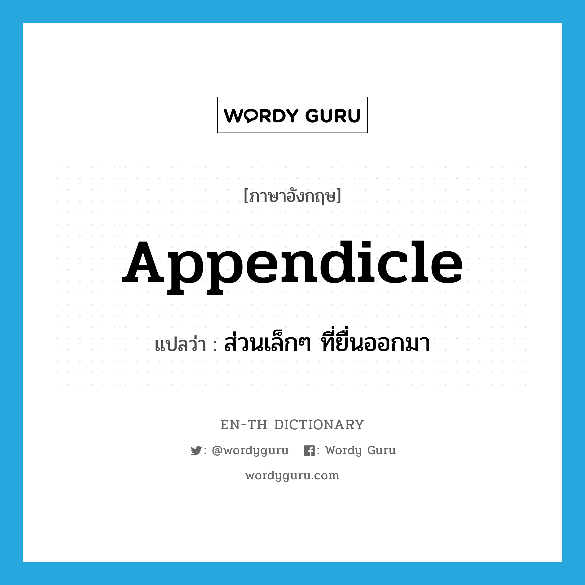 appendicle แปลว่า?, คำศัพท์ภาษาอังกฤษ appendicle แปลว่า ส่วนเล็กๆ ที่ยื่นออกมา ประเภท N หมวด N