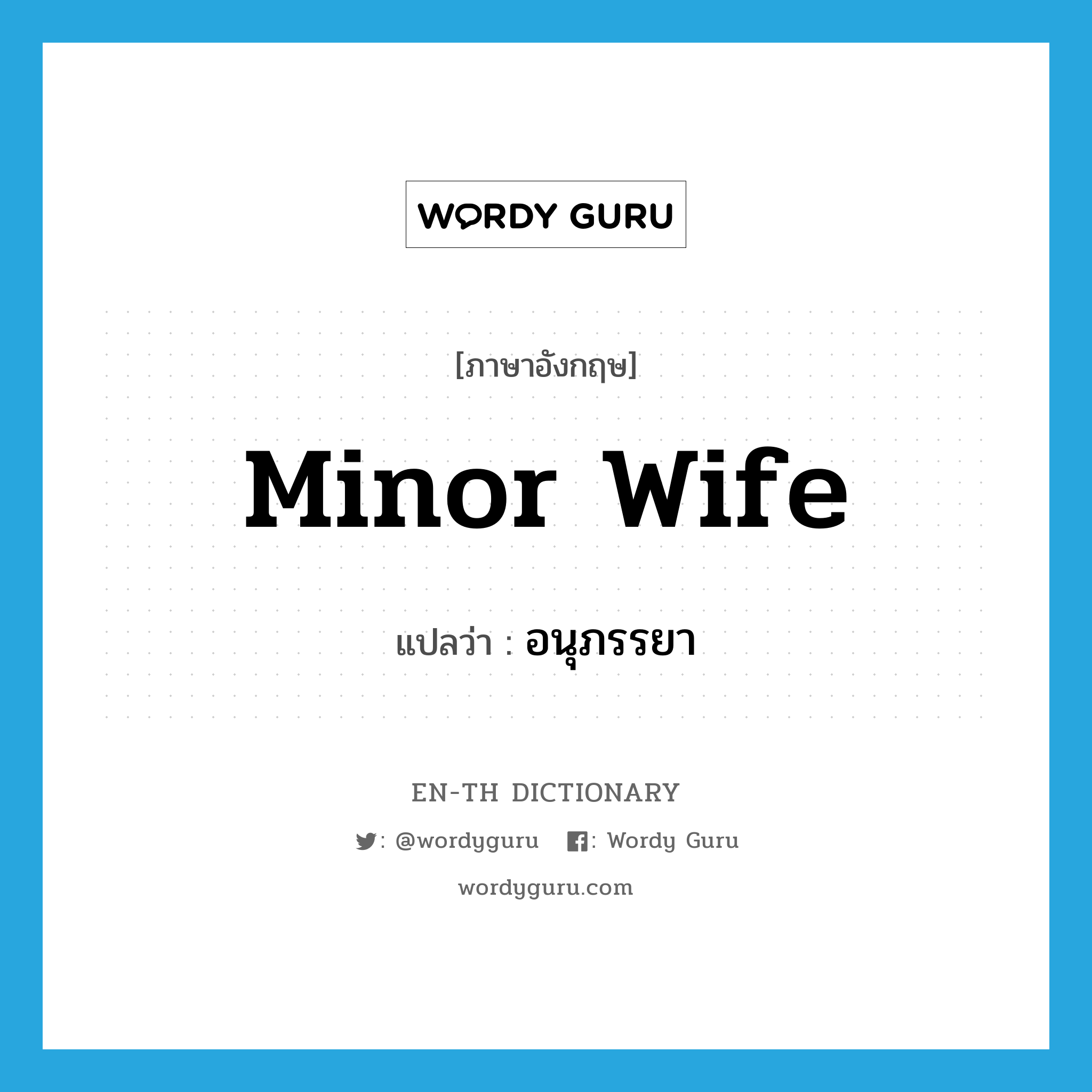 minor wife แปลว่า?, คำศัพท์ภาษาอังกฤษ minor wife แปลว่า อนุภรรยา ประเภท N หมวด N