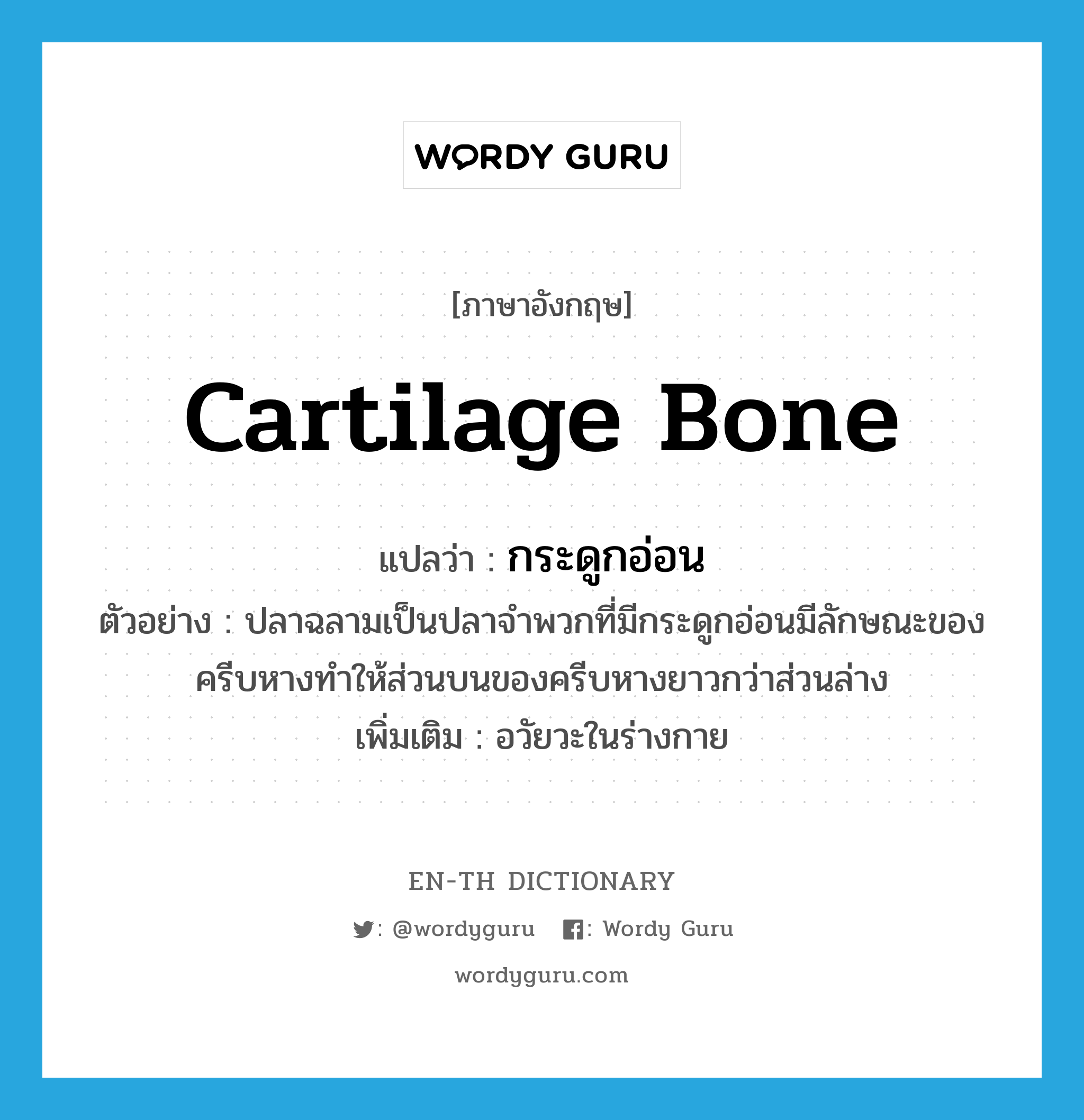 cartilage bone แปลว่า?, คำศัพท์ภาษาอังกฤษ cartilage bone แปลว่า กระดูกอ่อน ประเภท N ตัวอย่าง ปลาฉลามเป็นปลาจำพวกที่มีกระดูกอ่อนมีลักษณะของครีบหางทำให้ส่วนบนของครีบหางยาวกว่าส่วนล่าง เพิ่มเติม อวัยวะในร่างกาย หมวด N