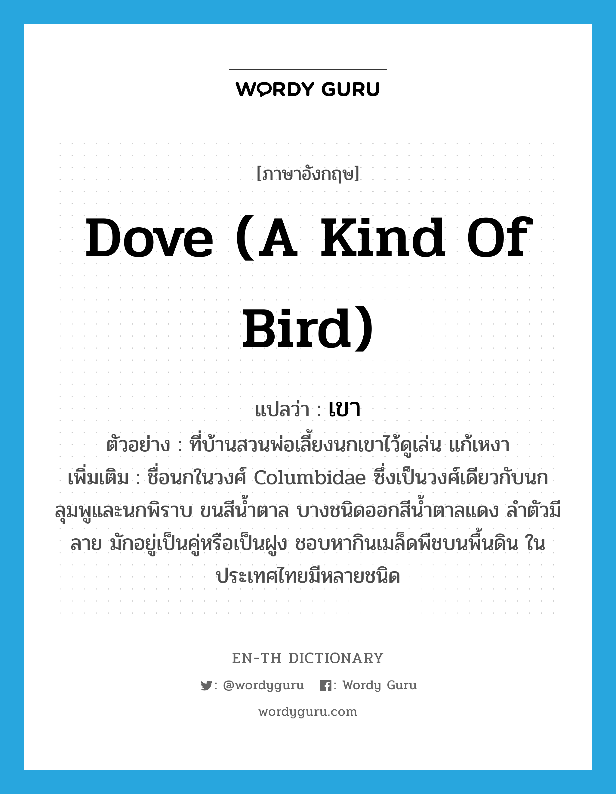 dove (a kind of bird) แปลว่า?, คำศัพท์ภาษาอังกฤษ dove (a kind of bird) แปลว่า เขา ประเภท N ตัวอย่าง ที่บ้านสวนพ่อเลี้ยงนกเขาไว้ดูเล่น แก้เหงา เพิ่มเติม ชื่อนกในวงศ์ Columbidae ซึ่งเป็นวงศ์เดียวกับนกลุมพูและนกพิราบ ขนสีน้ำตาล บางชนิดออกสีน้ำตาลแดง ลำตัวมีลาย มักอยู่เป็นคู่หรือเป็นฝูง ชอบหากินเมล็ดพืชบนพื้นดิน ในประเทศไทยมีหลายชนิด หมวด N