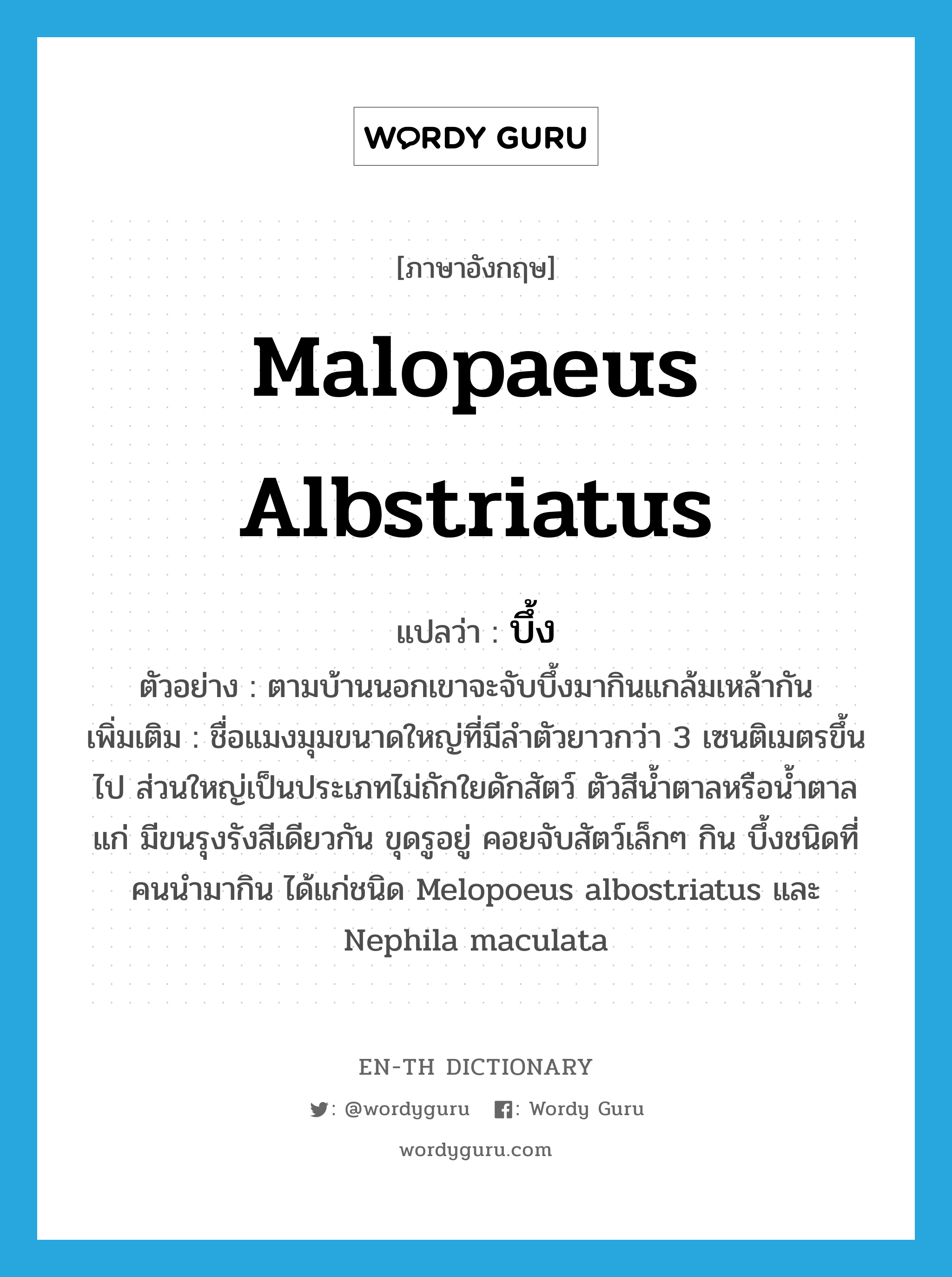 Malopaeus albstriatus แปลว่า?, คำศัพท์ภาษาอังกฤษ Malopaeus albstriatus แปลว่า บึ้ง ประเภท N ตัวอย่าง ตามบ้านนอกเขาจะจับบึ้งมากินแกล้มเหล้ากัน เพิ่มเติม ชื่อแมงมุมขนาดใหญ่ที่มีลำตัวยาวกว่า 3 เซนติเมตรขึ้นไป ส่วนใหญ่เป็นประเภทไม่ถักใยดักสัตว์ ตัวสีน้ำตาลหรือน้ำตาลแก่ มีขนรุงรังสีเดียวกัน ขุดรูอยู่ คอยจับสัตว์เล็กๆ กิน บึ้งชนิดที่คนนำมากิน ได้แก่ชนิด Melopoeus albostriatus และ Nephila maculata หมวด N