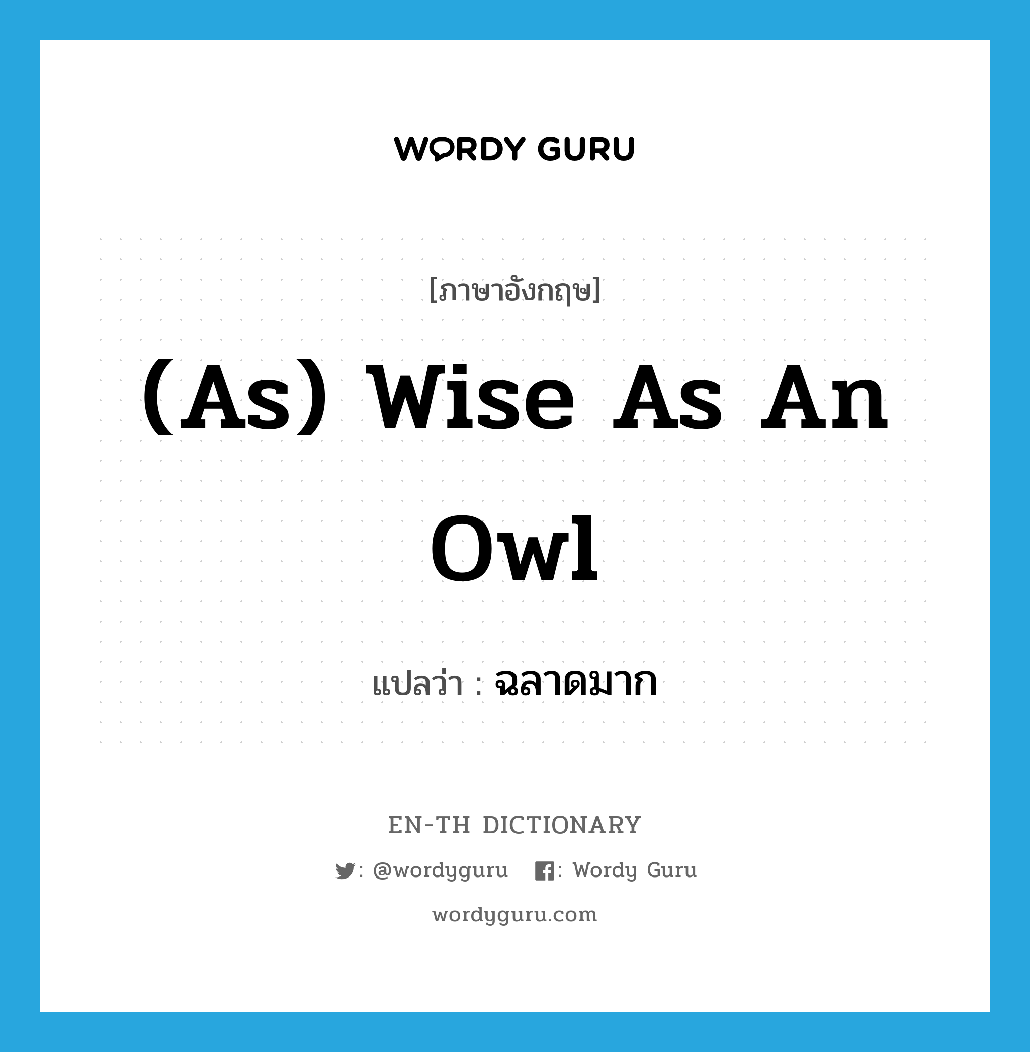 (as) wise as an owl แปลว่า?, คำศัพท์ภาษาอังกฤษ (as) wise as an owl แปลว่า ฉลาดมาก ประเภท IDM หมวด IDM