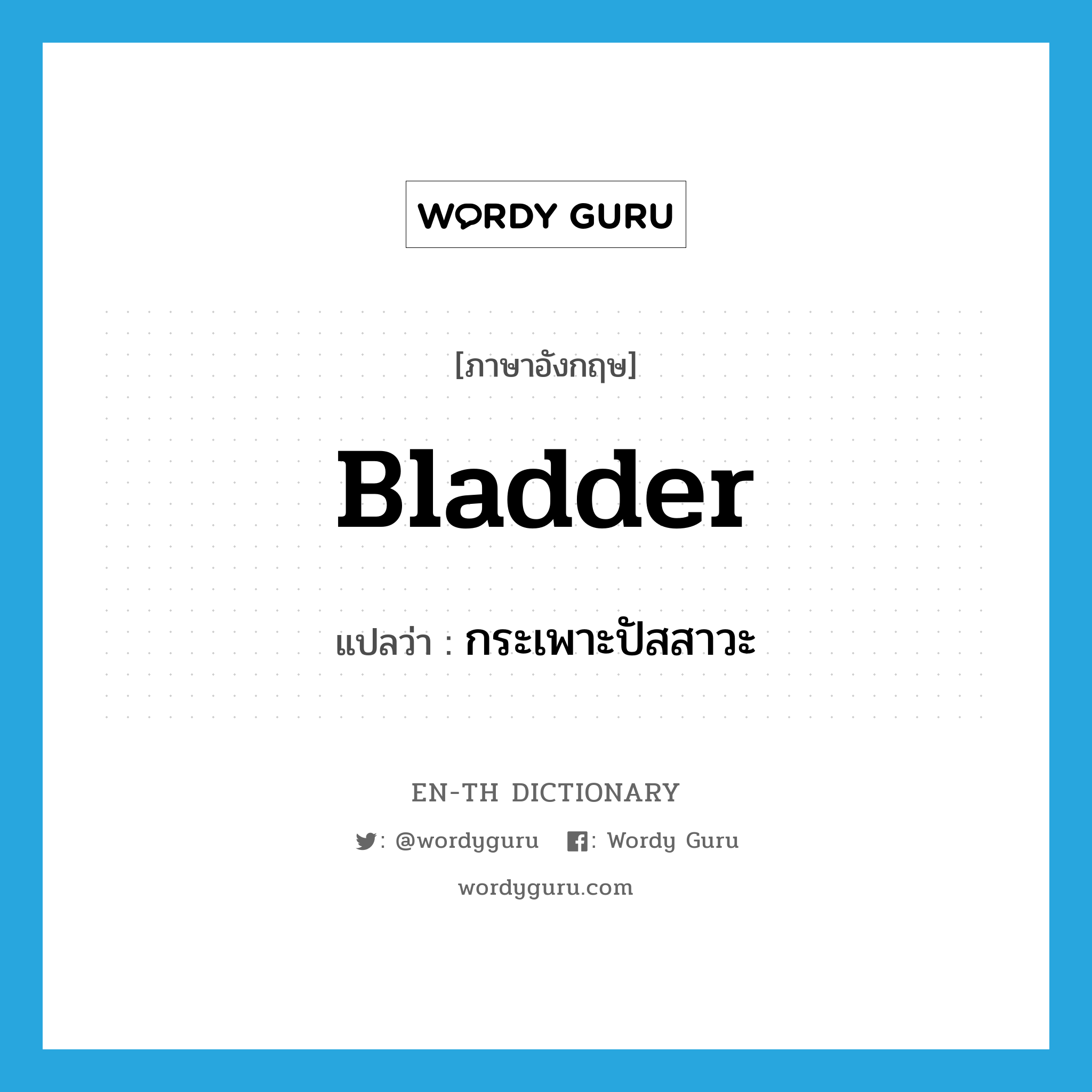 bladder แปลว่า?, คำศัพท์ภาษาอังกฤษ bladder แปลว่า กระเพาะปัสสาวะ ประเภท N หมวด N