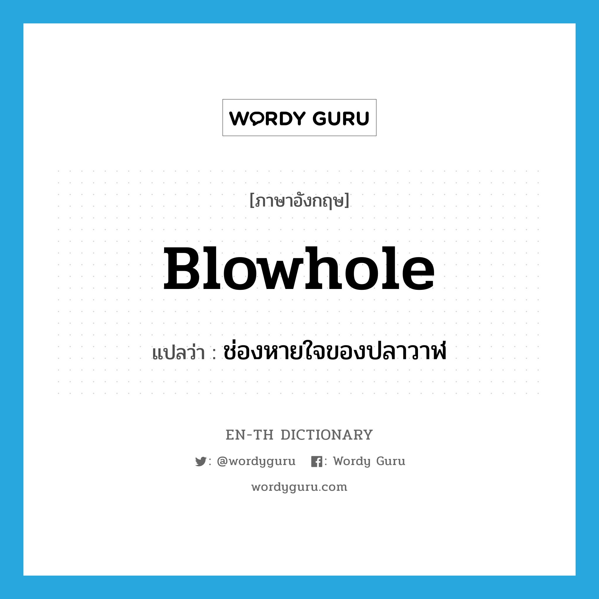 blowhole แปลว่า?, คำศัพท์ภาษาอังกฤษ blowhole แปลว่า ช่องหายใจของปลาวาฬ ประเภท N หมวด N