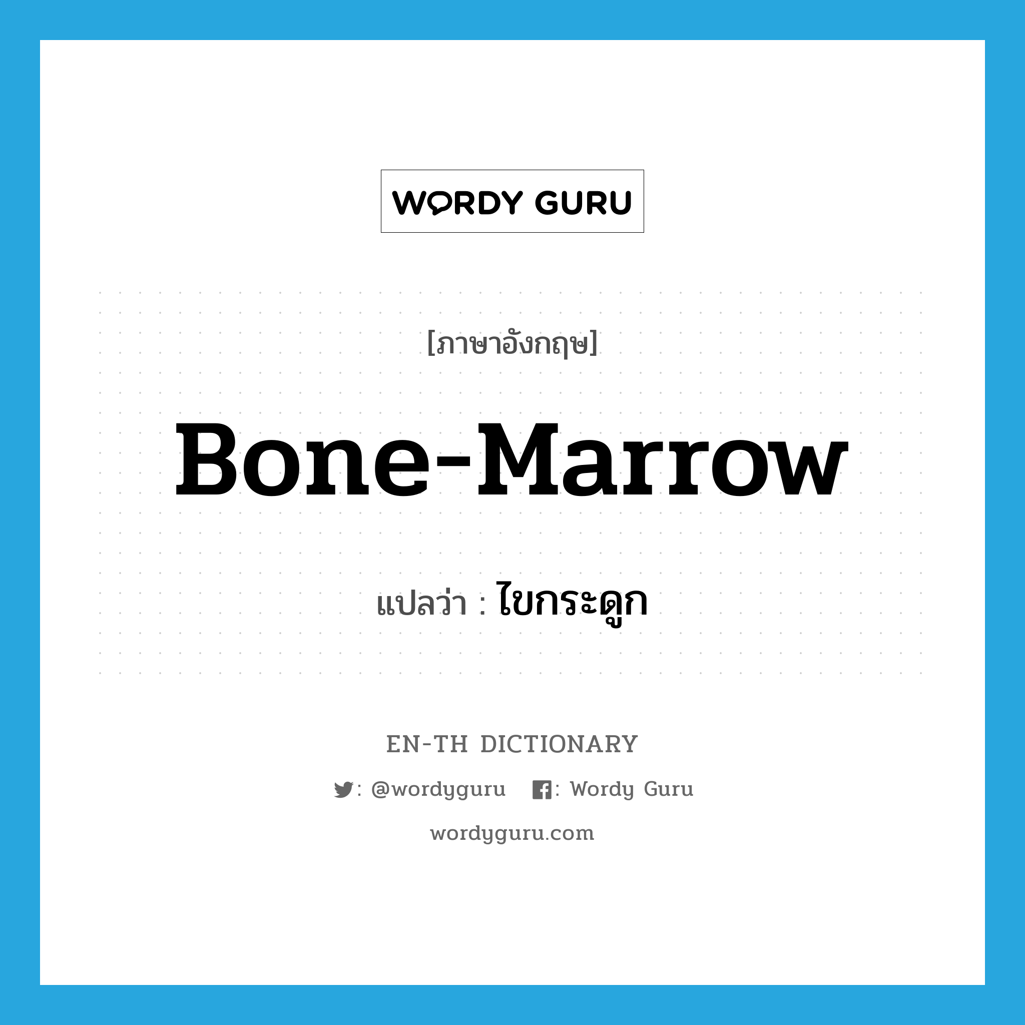 bone-marrow แปลว่า?, คำศัพท์ภาษาอังกฤษ bone-marrow แปลว่า ไขกระดูก ประเภท N หมวด N