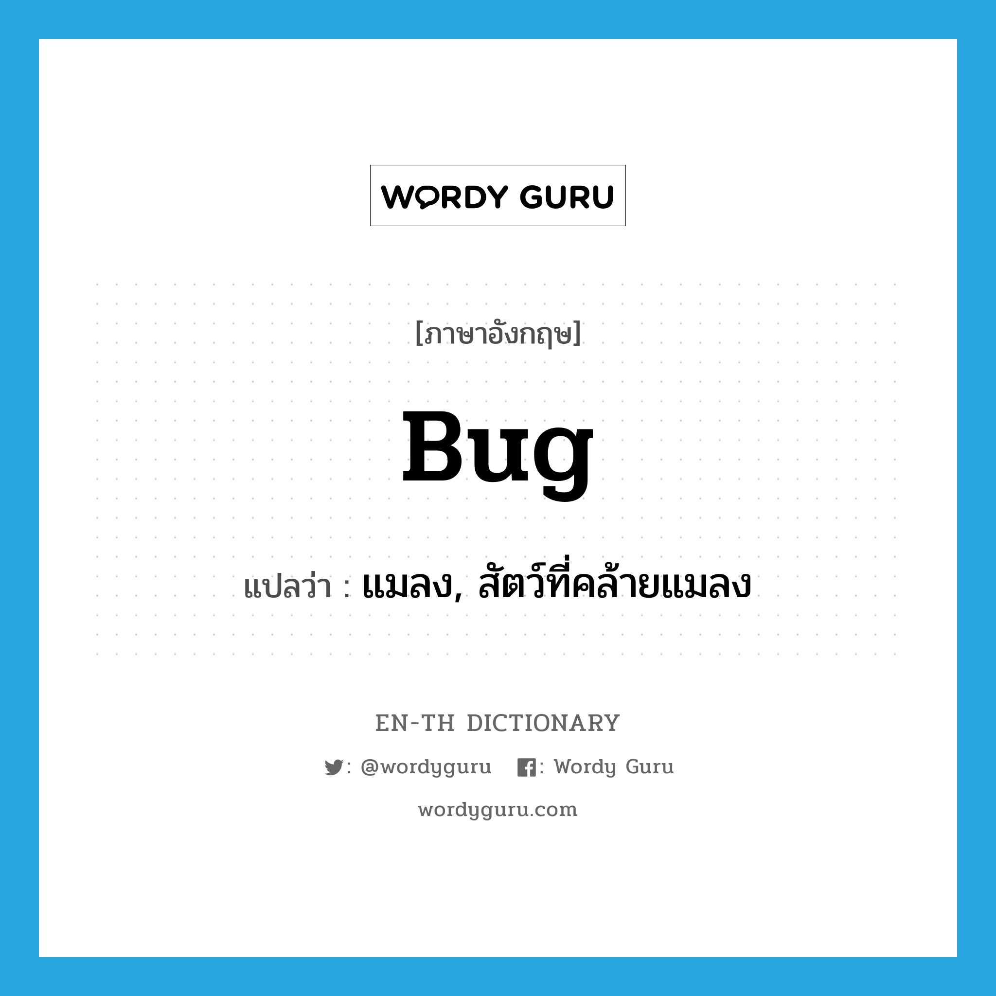 bug แปลว่า?, คำศัพท์ภาษาอังกฤษ bug แปลว่า แมลง, สัตว์ที่คล้ายแมลง ประเภท N หมวด N