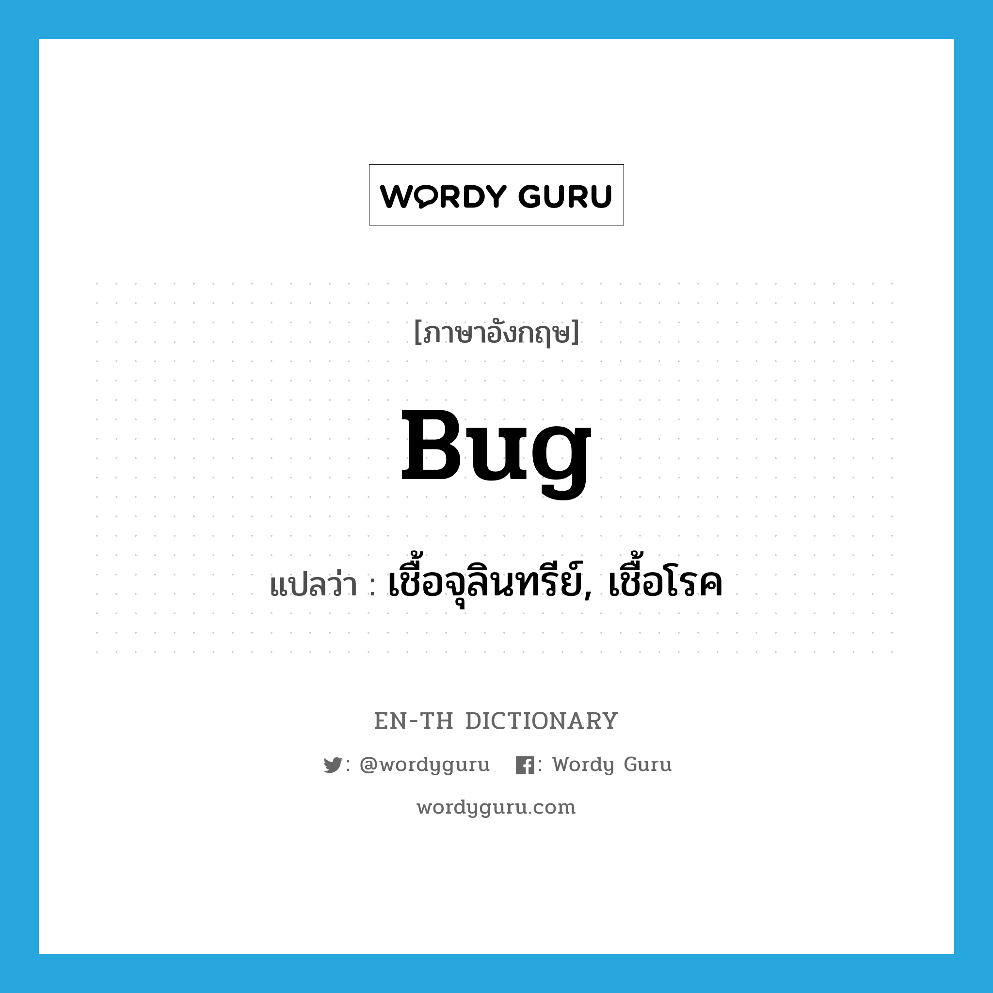 bug แปลว่า?, คำศัพท์ภาษาอังกฤษ bug แปลว่า เชื้อจุลินทรีย์, เชื้อโรค ประเภท N หมวด N