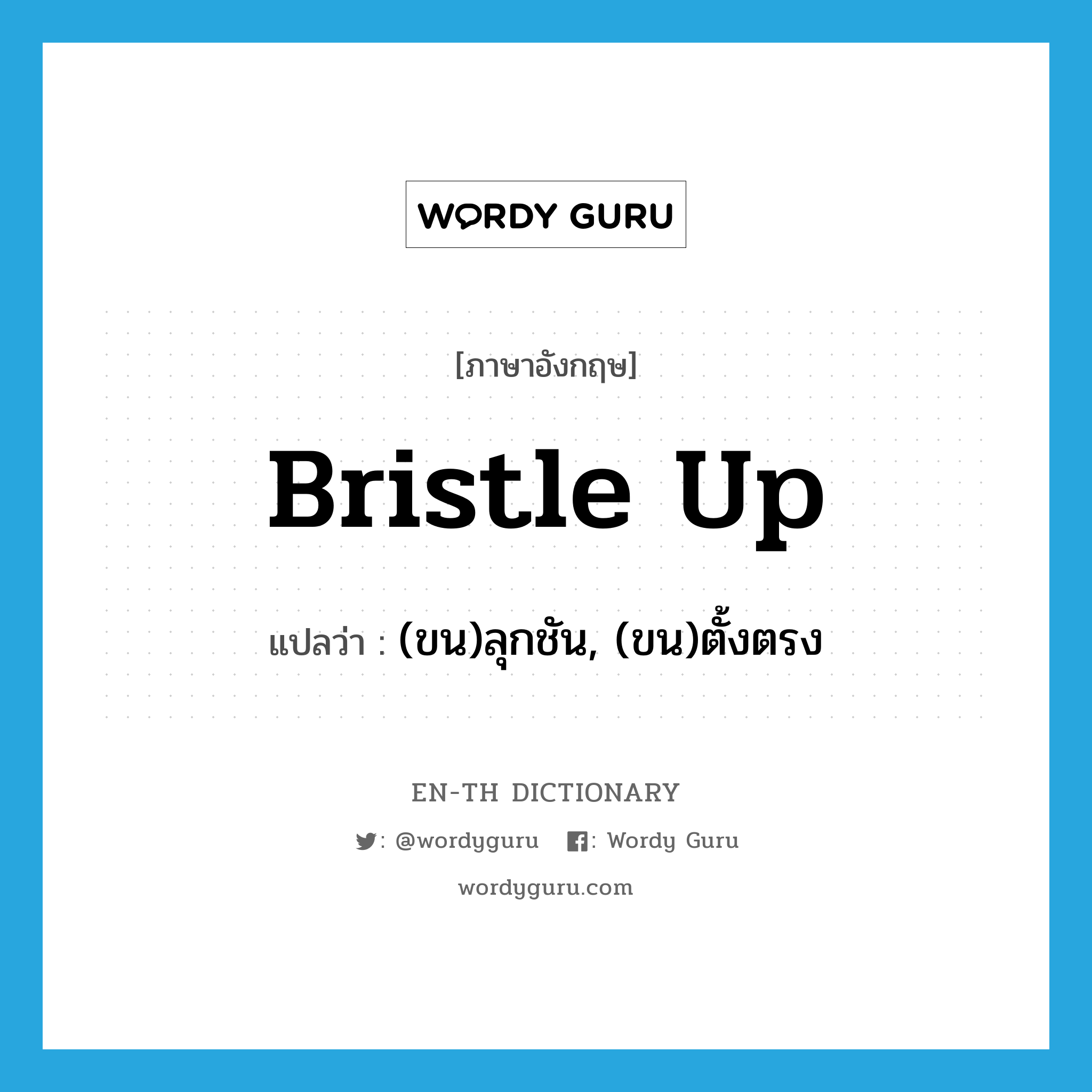 bristle up แปลว่า?, คำศัพท์ภาษาอังกฤษ bristle up แปลว่า (ขน)ลุกชัน, (ขน)ตั้งตรง ประเภท PHRV หมวด PHRV