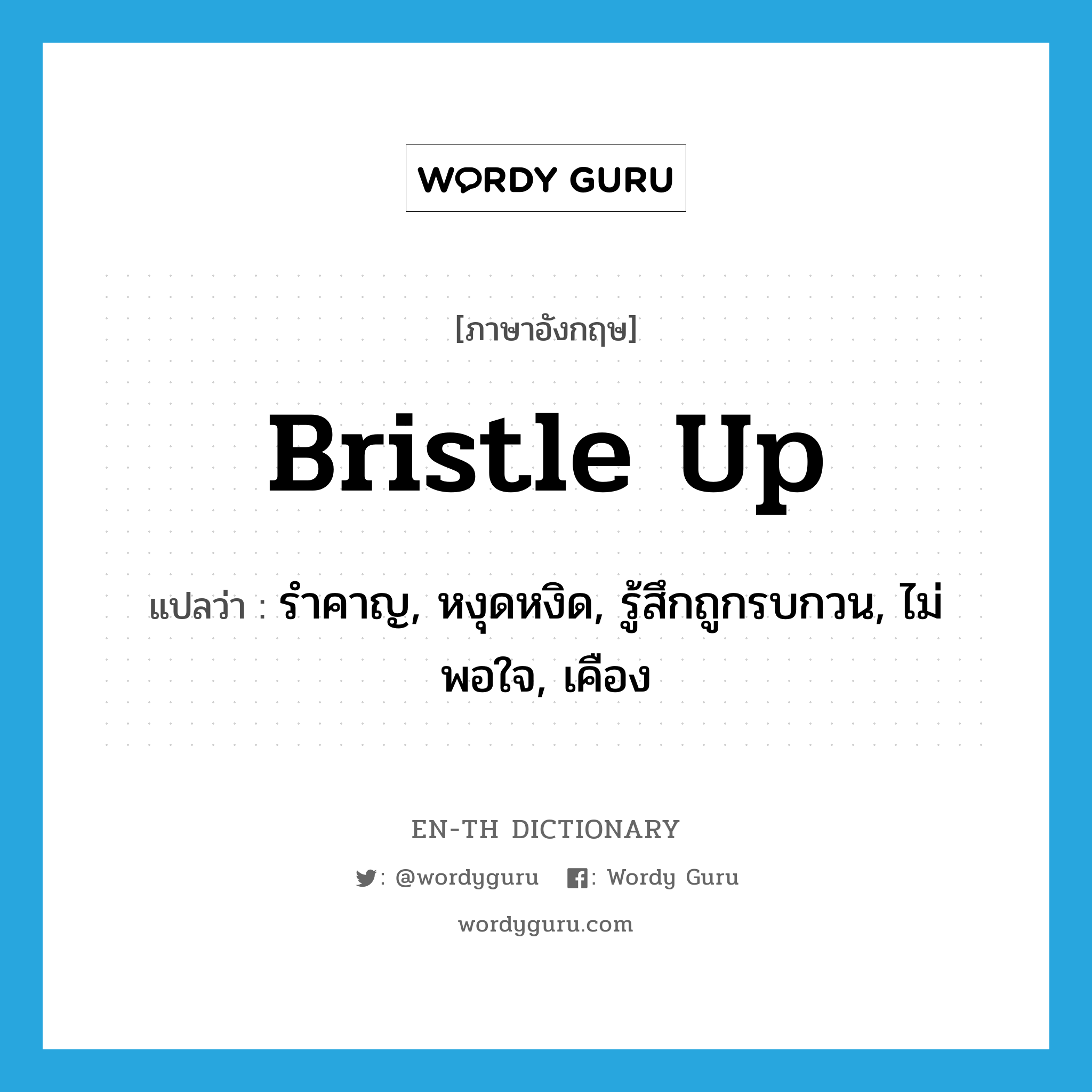 bristle up แปลว่า?, คำศัพท์ภาษาอังกฤษ bristle up แปลว่า รำคาญ, หงุดหงิด, รู้สึกถูกรบกวน, ไม่พอใจ, เคือง ประเภท PHRV หมวด PHRV