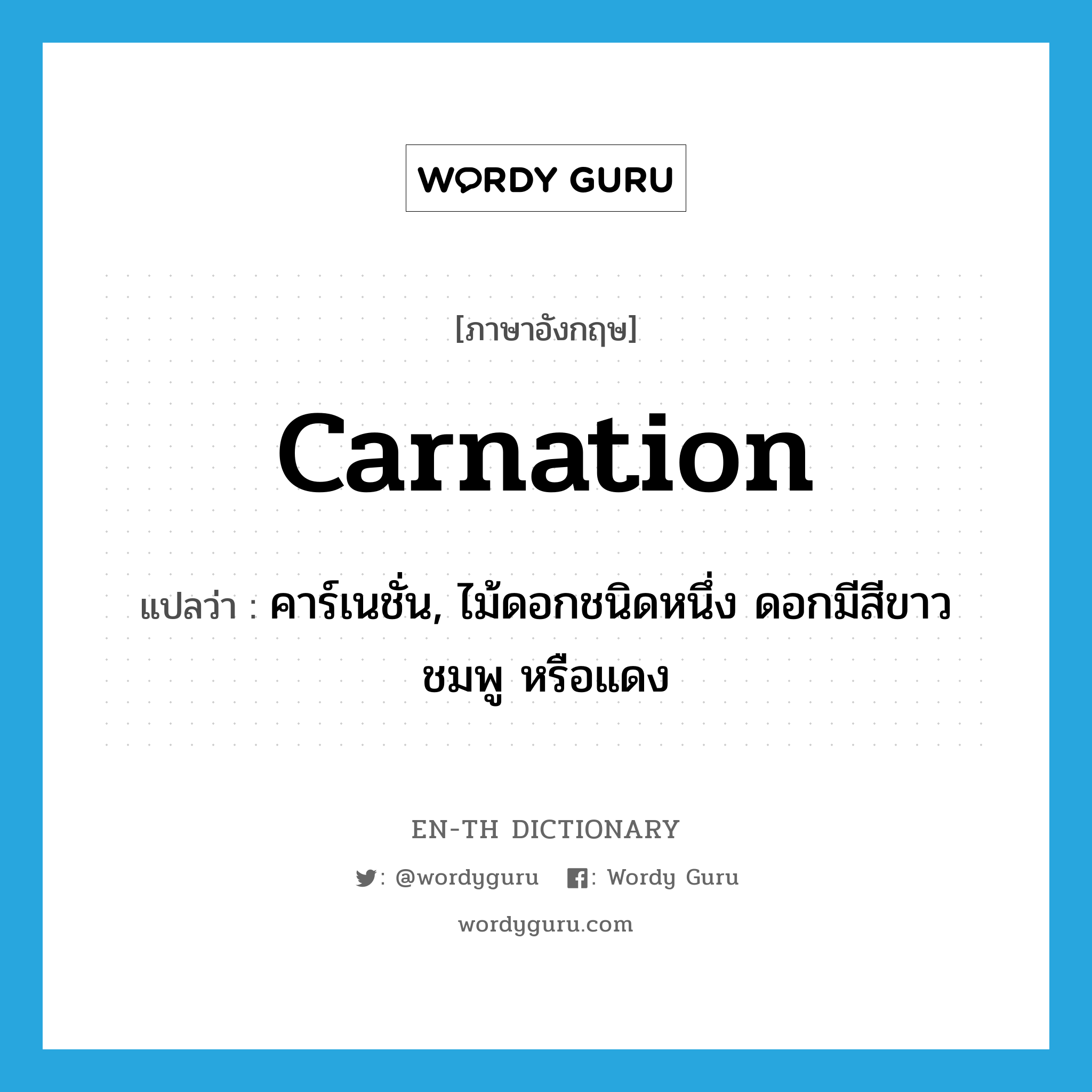 carnation แปลว่า?, คำศัพท์ภาษาอังกฤษ carnation แปลว่า คาร์เนชั่น, ไม้ดอกชนิดหนึ่ง ดอกมีสีขาว ชมพู หรือแดง ประเภท N หมวด N