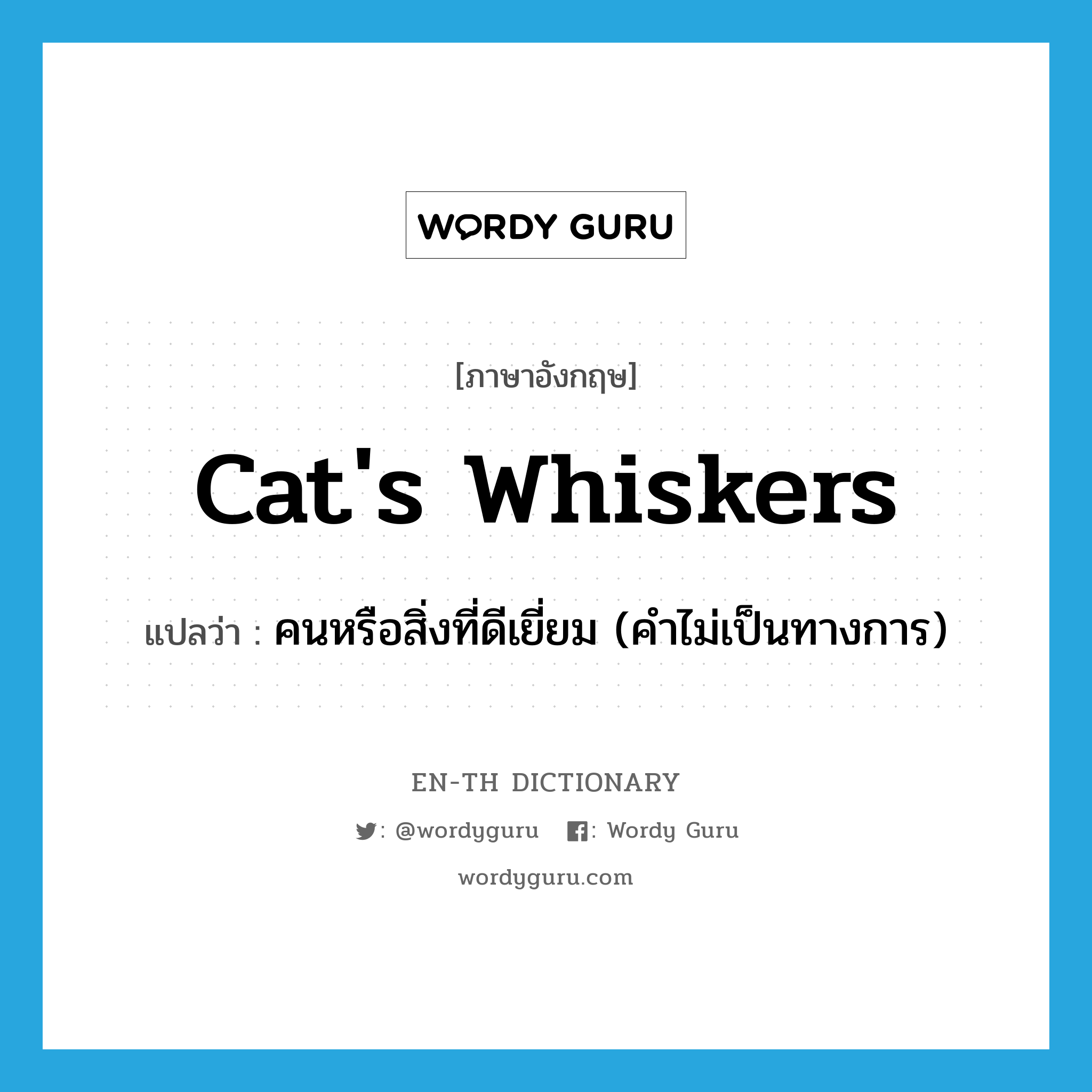cat's whiskers แปลว่า?, คำศัพท์ภาษาอังกฤษ cat's whiskers แปลว่า คนหรือสิ่งที่ดีเยี่ยม (คำไม่เป็นทางการ) ประเภท N หมวด N