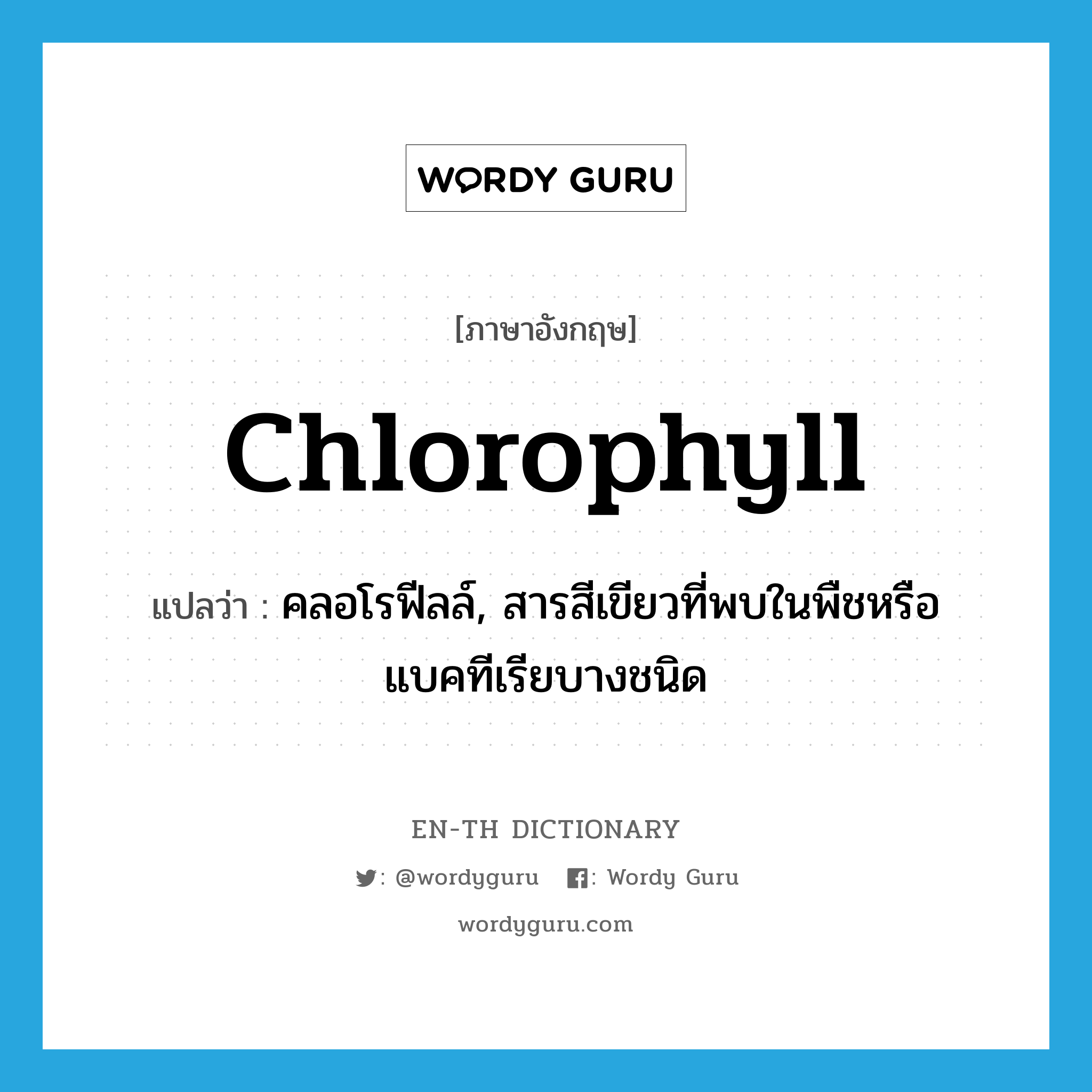 chlorophyll แปลว่า?, คำศัพท์ภาษาอังกฤษ chlorophyll แปลว่า คลอโรฟีลล์, สารสีเขียวที่พบในพืชหรือแบคทีเรียบางชนิด ประเภท N หมวด N