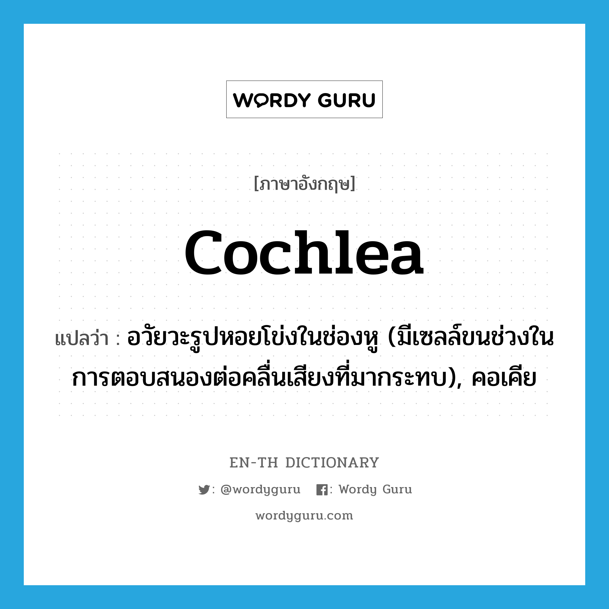 cochlea แปลว่า?, คำศัพท์ภาษาอังกฤษ cochlea แปลว่า อวัยวะรูปหอยโข่งในช่องหู (มีเซลล์ขนช่วงในการตอบสนองต่อคลื่นเสียงที่มากระทบ), คอเคีย ประเภท N หมวด N