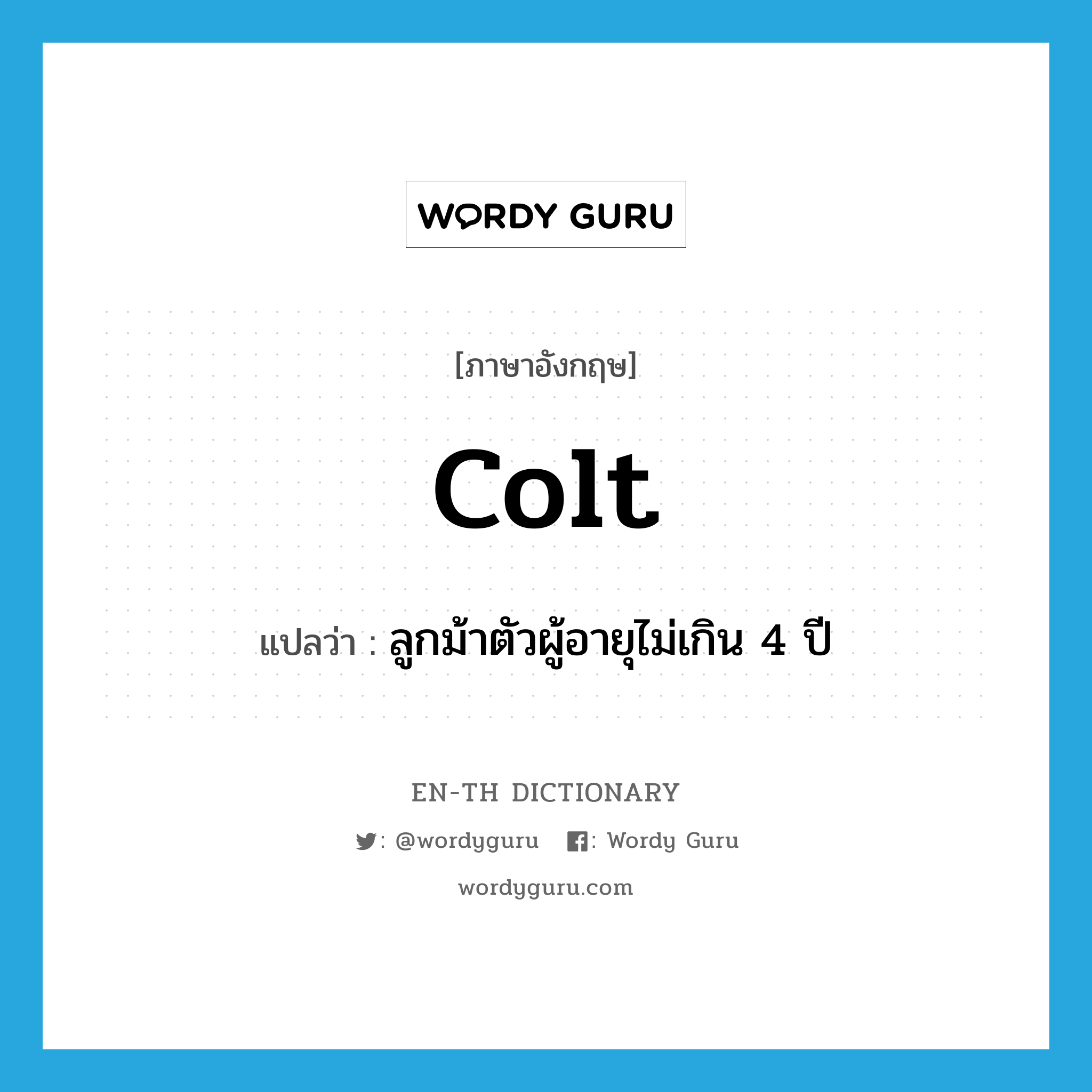 colt แปลว่า?, คำศัพท์ภาษาอังกฤษ colt แปลว่า ลูกม้าตัวผู้อายุไม่เกิน 4 ปี ประเภท N หมวด N