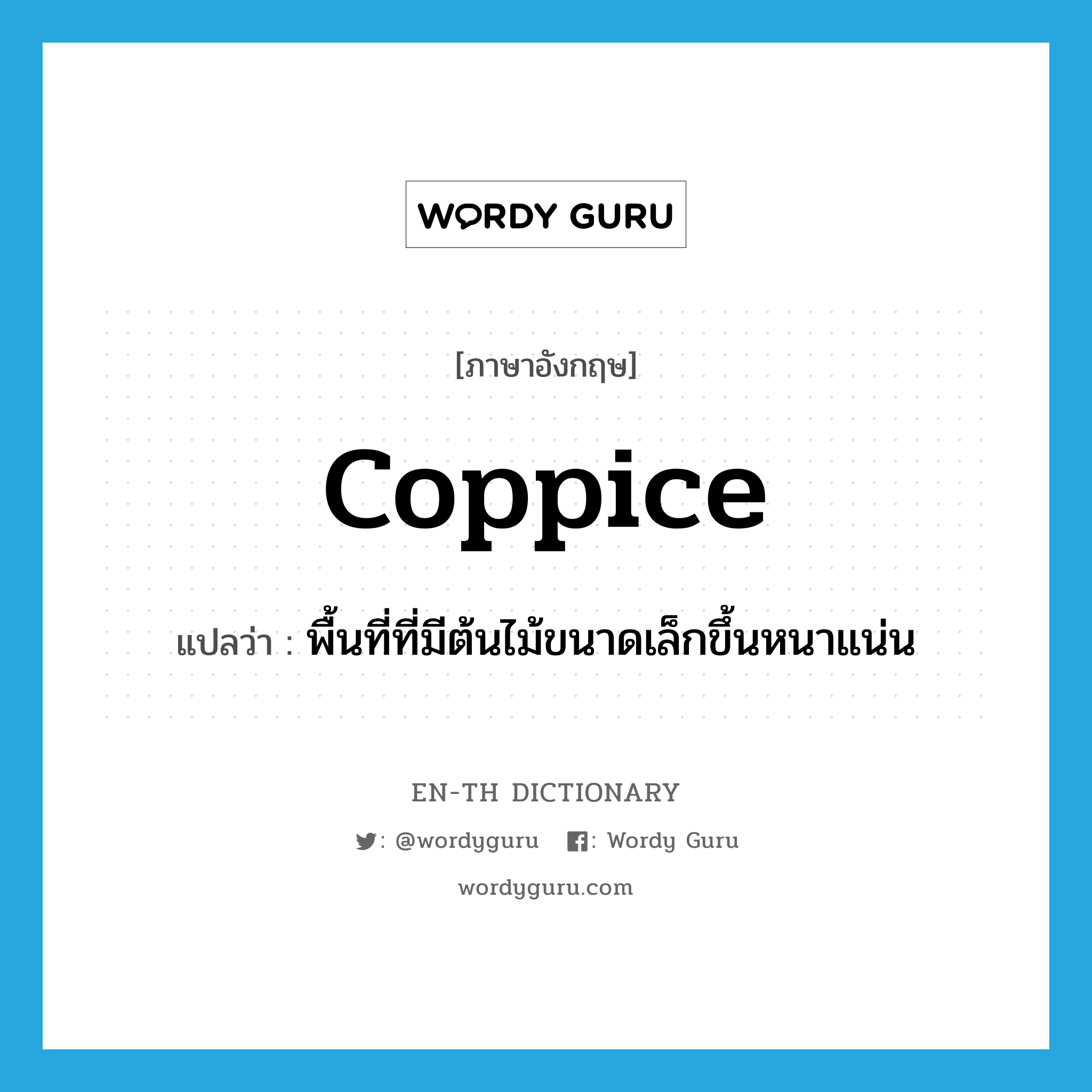 coppice แปลว่า?, คำศัพท์ภาษาอังกฤษ coppice แปลว่า พื้นที่ที่มีต้นไม้ขนาดเล็กขึ้นหนาแน่น ประเภท N หมวด N