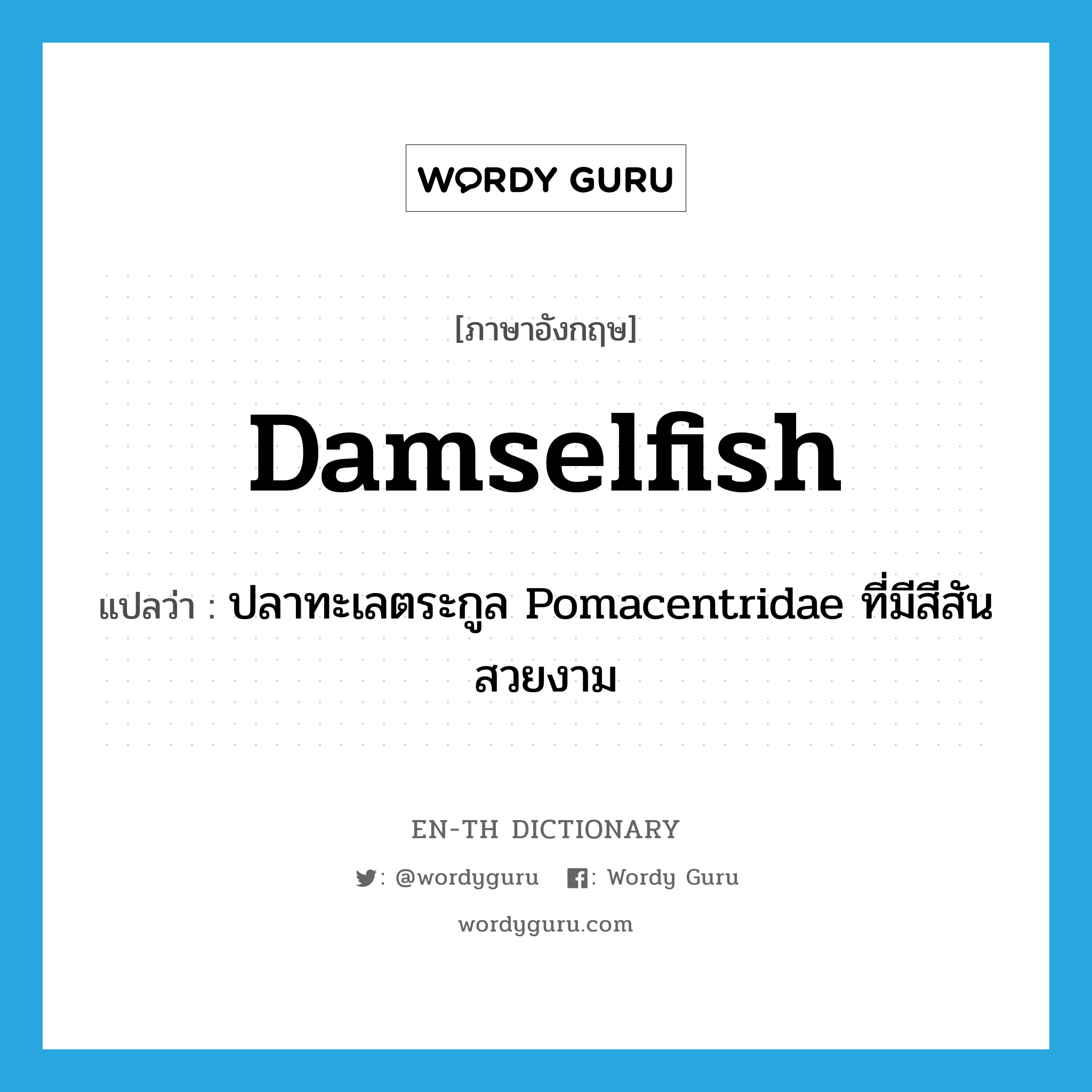 damselfish แปลว่า?, คำศัพท์ภาษาอังกฤษ damselfish แปลว่า ปลาทะเลตระกูล Pomacentridae ที่มีสีสันสวยงาม ประเภท N หมวด N