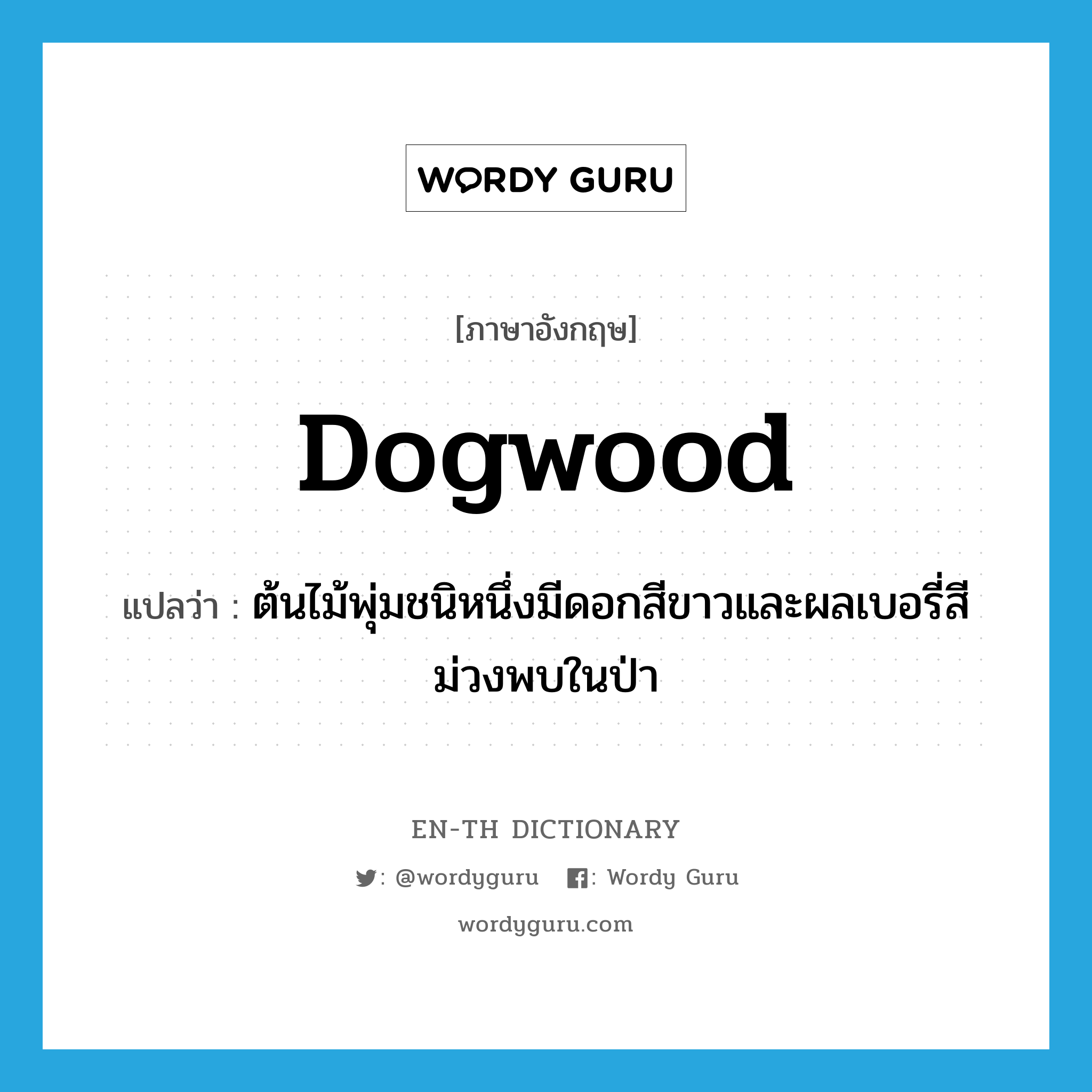 dogwood แปลว่า?, คำศัพท์ภาษาอังกฤษ dogwood แปลว่า ต้นไม้พุ่มชนิหนึ่งมีดอกสีขาวและผลเบอรี่สีม่วงพบในป่า ประเภท N หมวด N