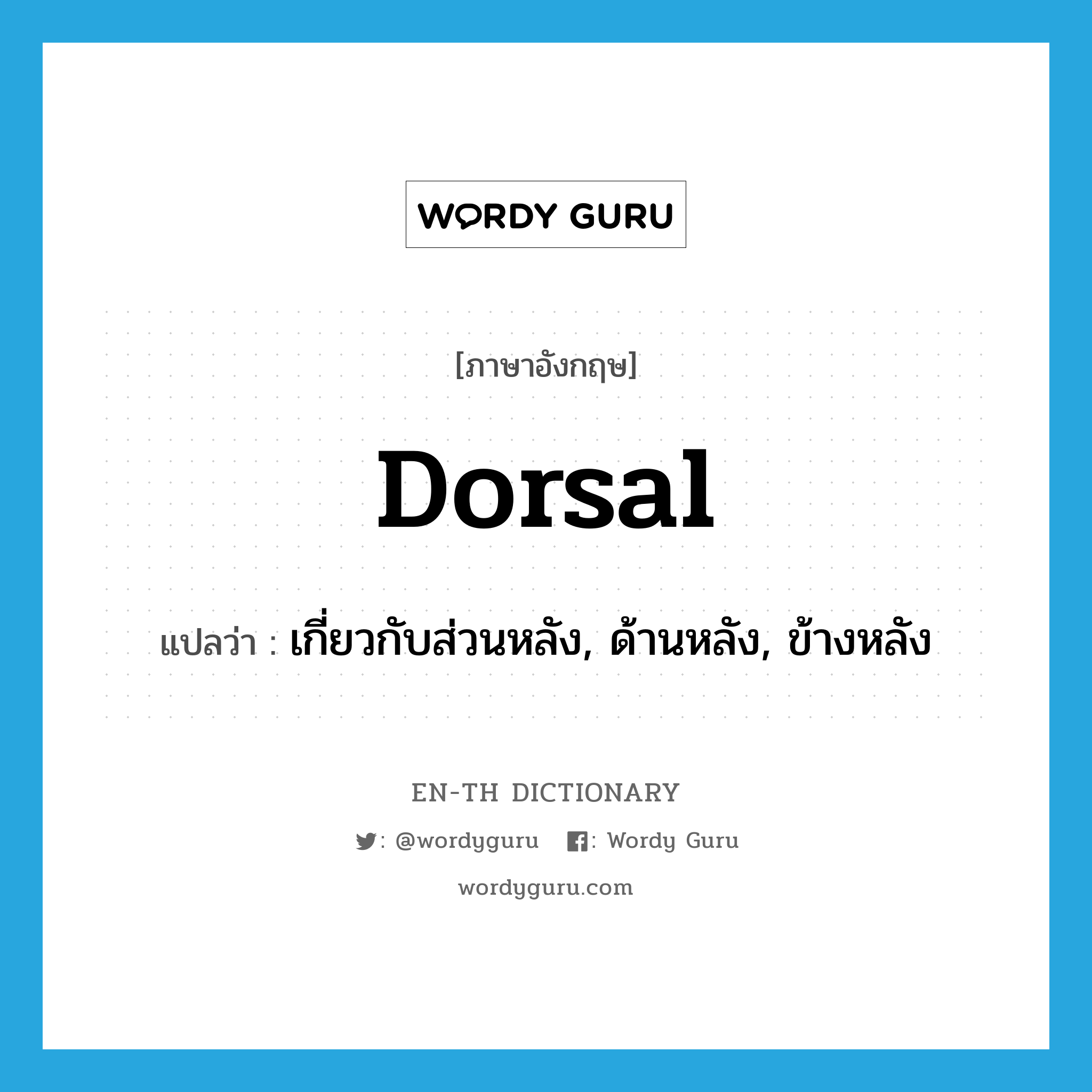 dorsal แปลว่า?, คำศัพท์ภาษาอังกฤษ dorsal แปลว่า เกี่ยวกับส่วนหลัง, ด้านหลัง, ข้างหลัง ประเภท ADJ หมวด ADJ