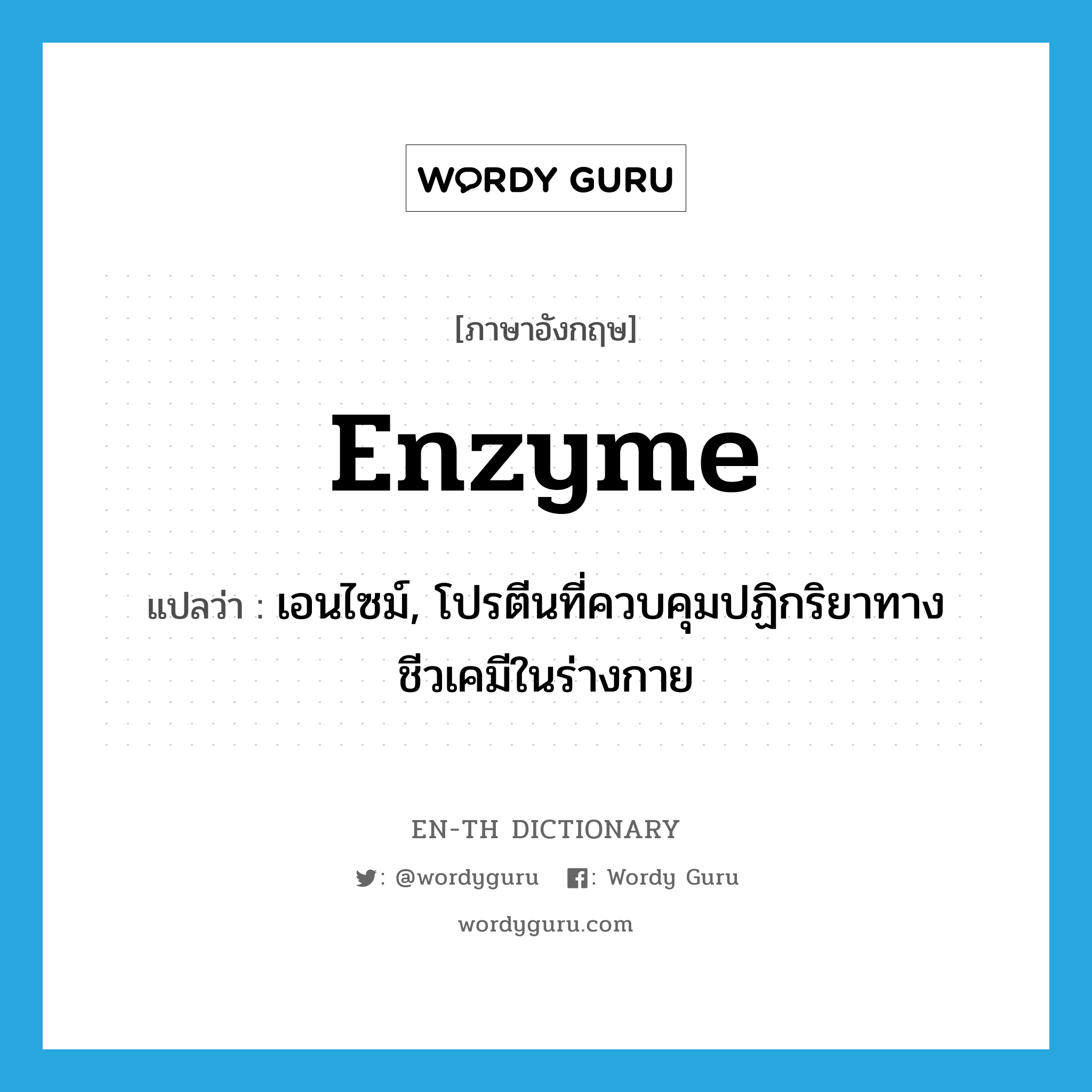 enzyme แปลว่า?, คำศัพท์ภาษาอังกฤษ enzyme แปลว่า เอนไซม์, โปรตีนที่ควบคุมปฏิกริยาทางชีวเคมีในร่างกาย ประเภท N หมวด N