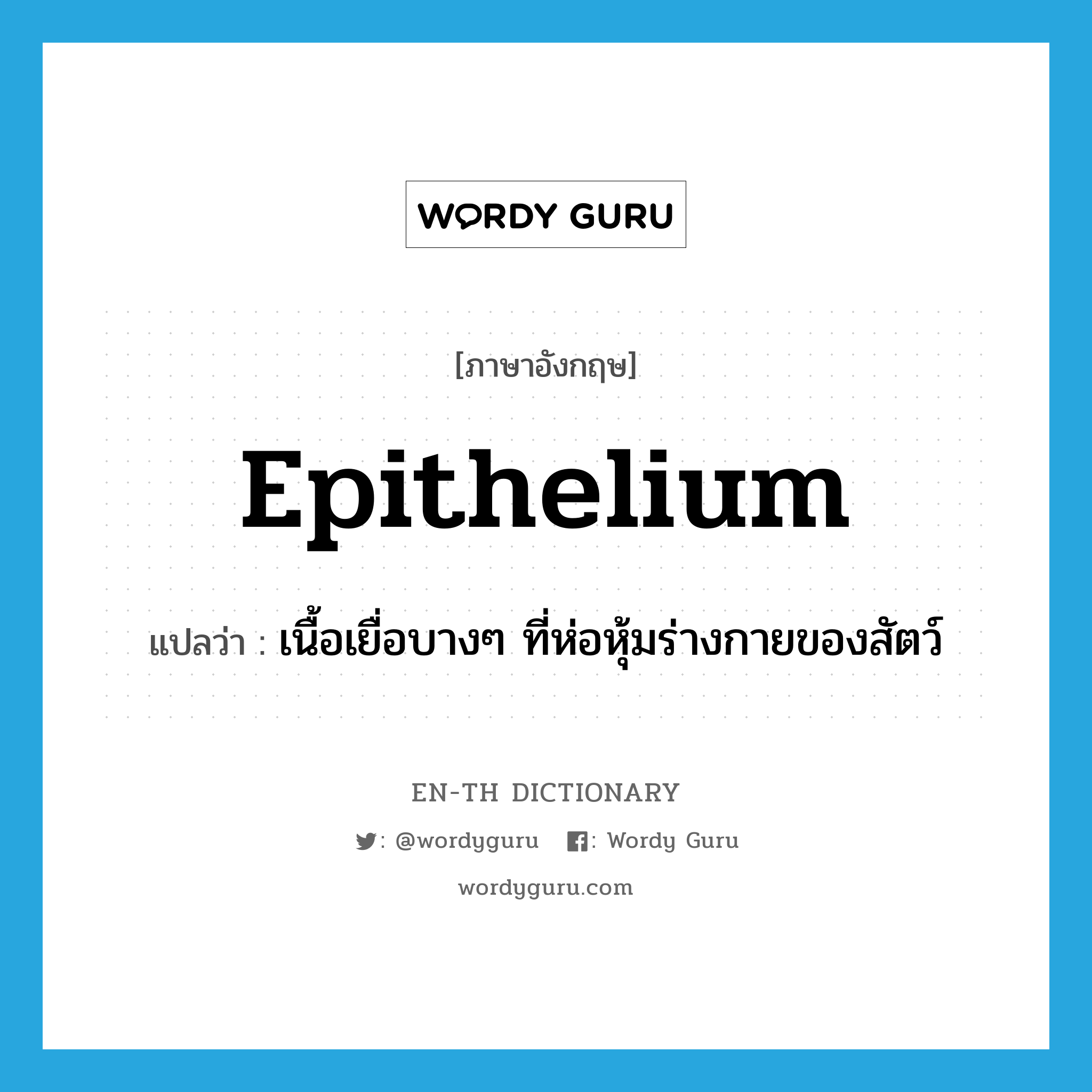 epithelium แปลว่า?, คำศัพท์ภาษาอังกฤษ epithelium แปลว่า เนื้อเยื่อบางๆ ที่ห่อหุ้มร่างกายของสัตว์ ประเภท N หมวด N