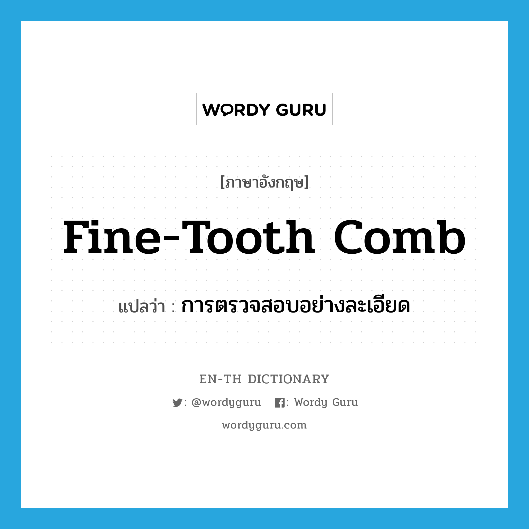 การตรวจสอบอย่างละเอียด ภาษาอังกฤษ?, คำศัพท์ภาษาอังกฤษ การตรวจสอบอย่างละเอียด แปลว่า fine-tooth comb ประเภท N หมวด N
