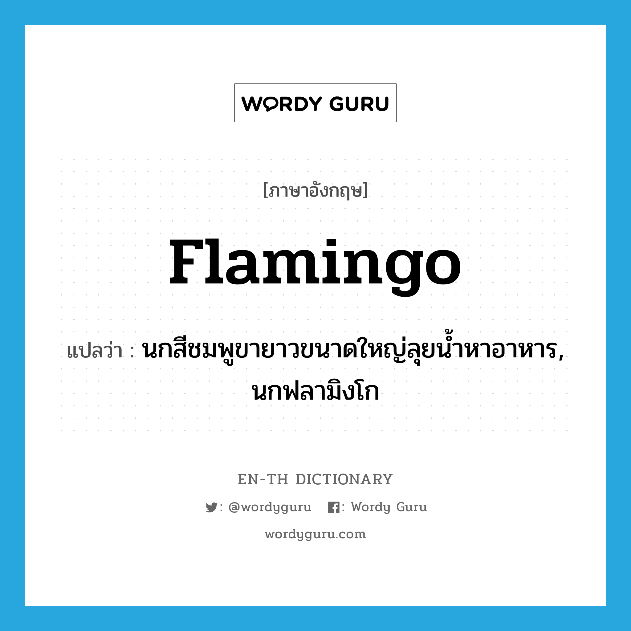 flamingo แปลว่า?, คำศัพท์ภาษาอังกฤษ flamingo แปลว่า นกสีชมพูขายาวขนาดใหญ่ลุยน้ำหาอาหาร, นกฟลามิงโก ประเภท N หมวด N